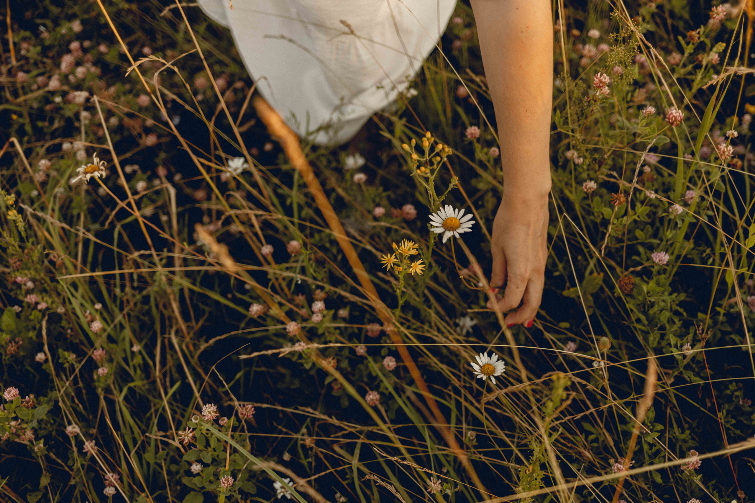 Настя и Мирон. Семейный фотограф в Москве