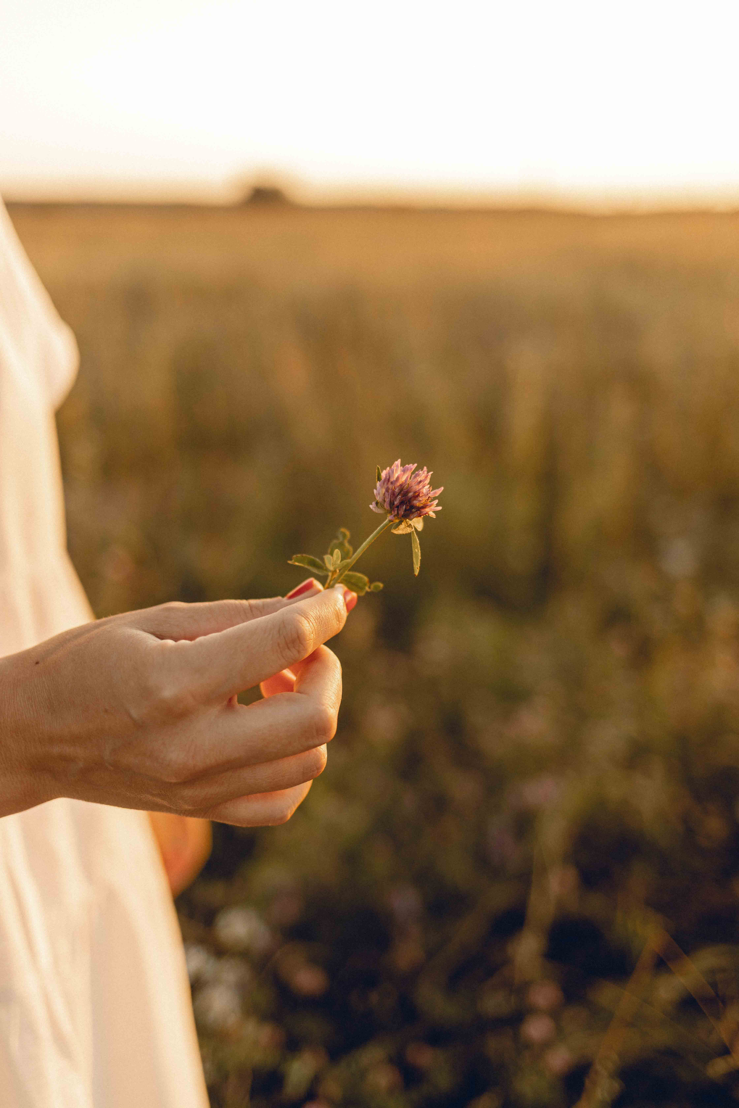 Настя и Мирон. Семейный фотограф в Москве