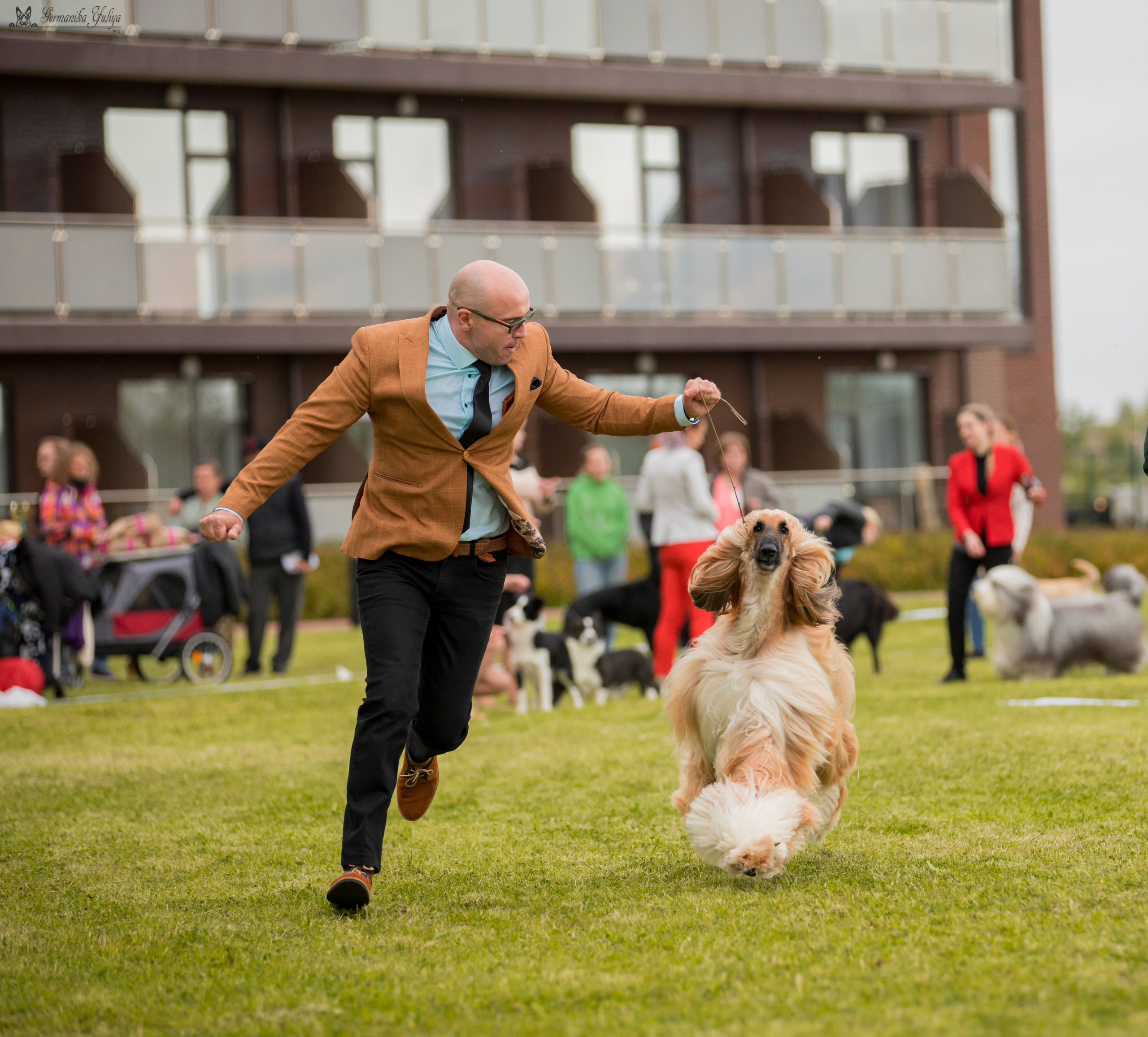 Переславль 9-10.09.2023. Фотограф-анималист Юлия Германика