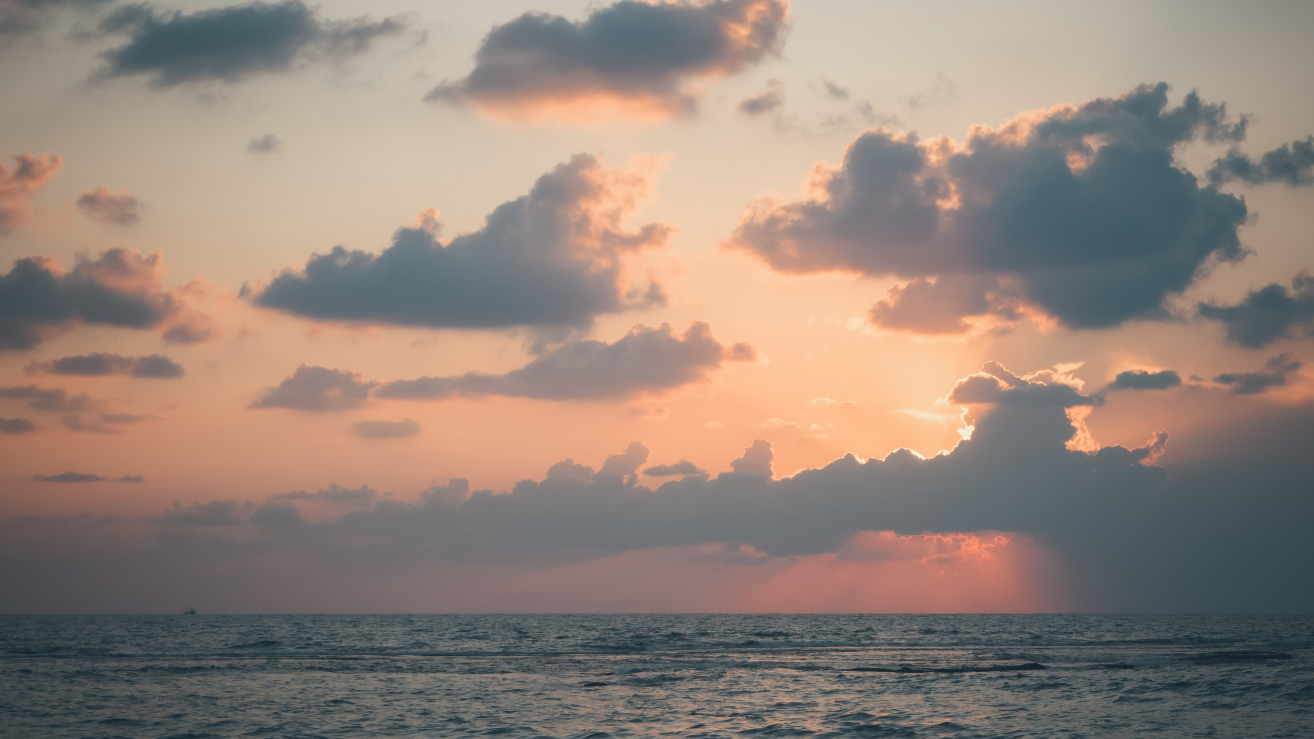 Израиль. Свадебный фотограф Копков Геннадий