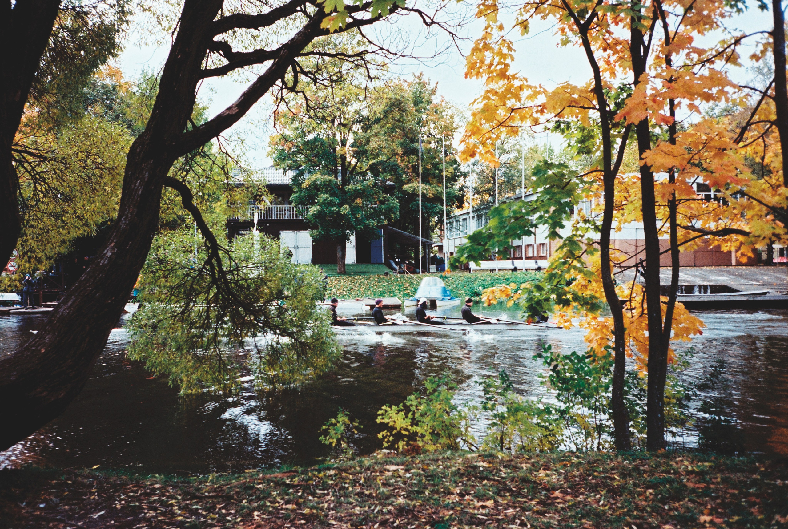 Фотографии цветные. Свадебный и семейный пленочный фотограф в Петербурге Истомина Ирина