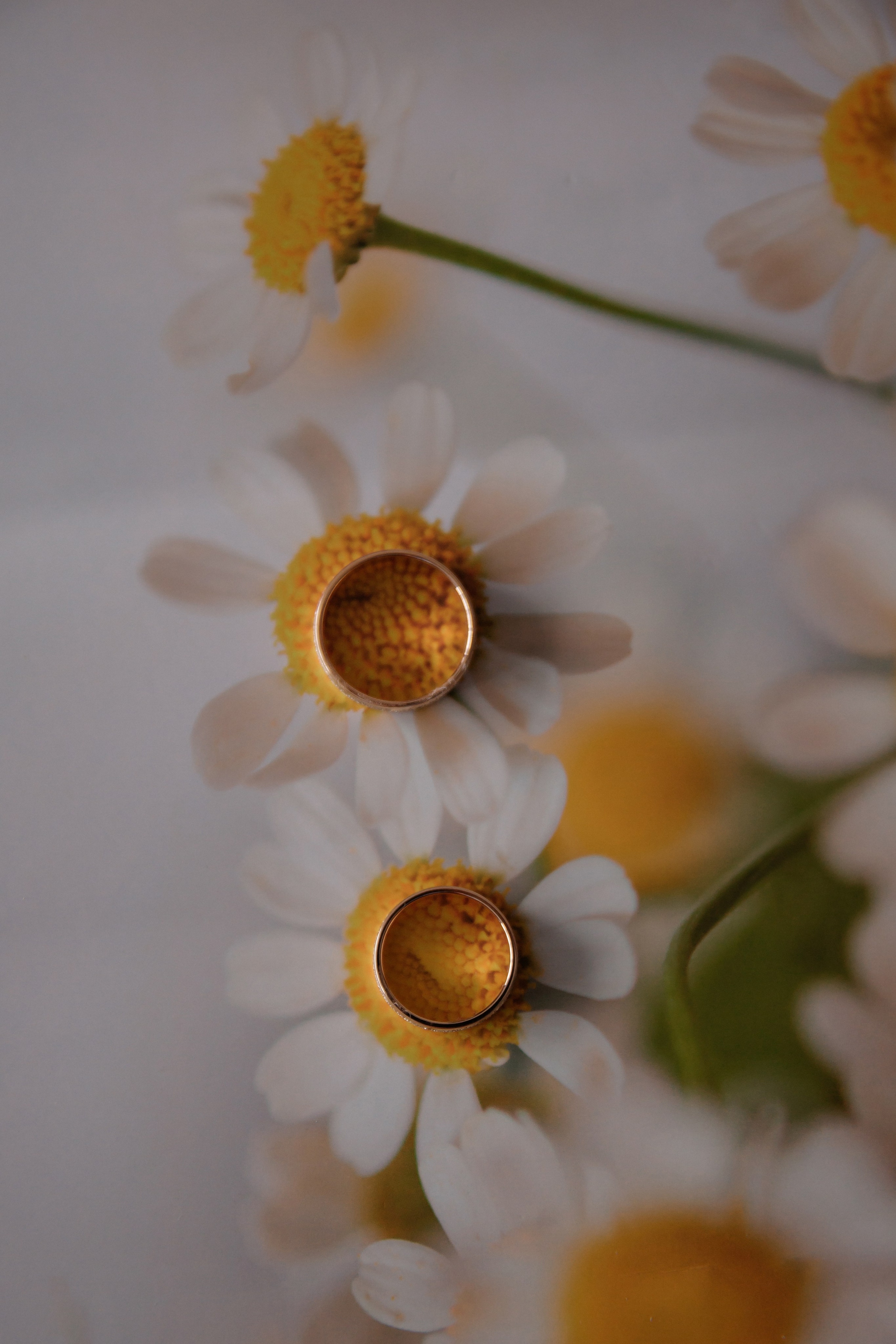 20.07.2024. RETOUCH-HOUSE