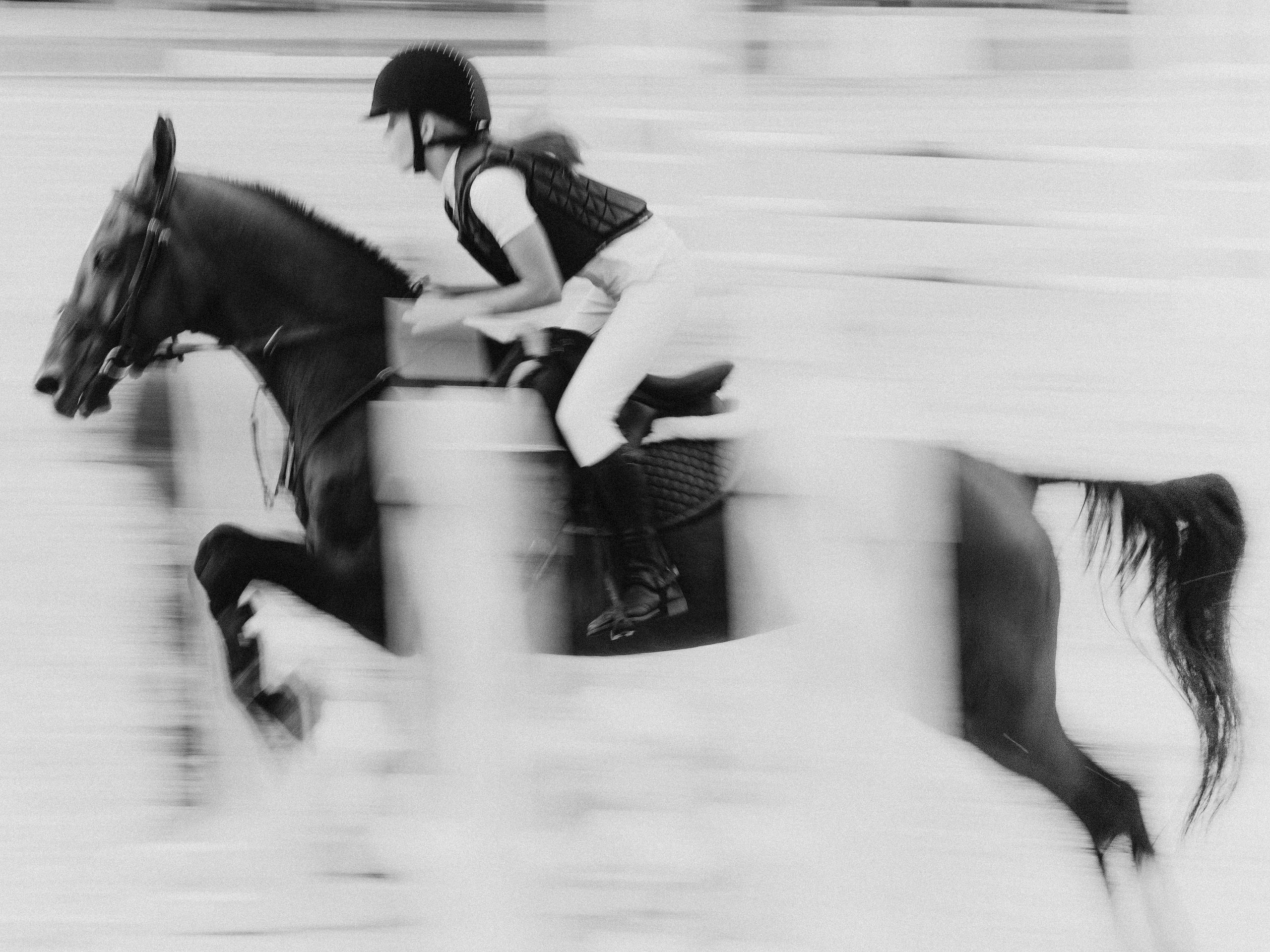 Спортивные фото/видео съёмки (конкур, выездка). Конный фотограф в Калининграде Елена Курбатова