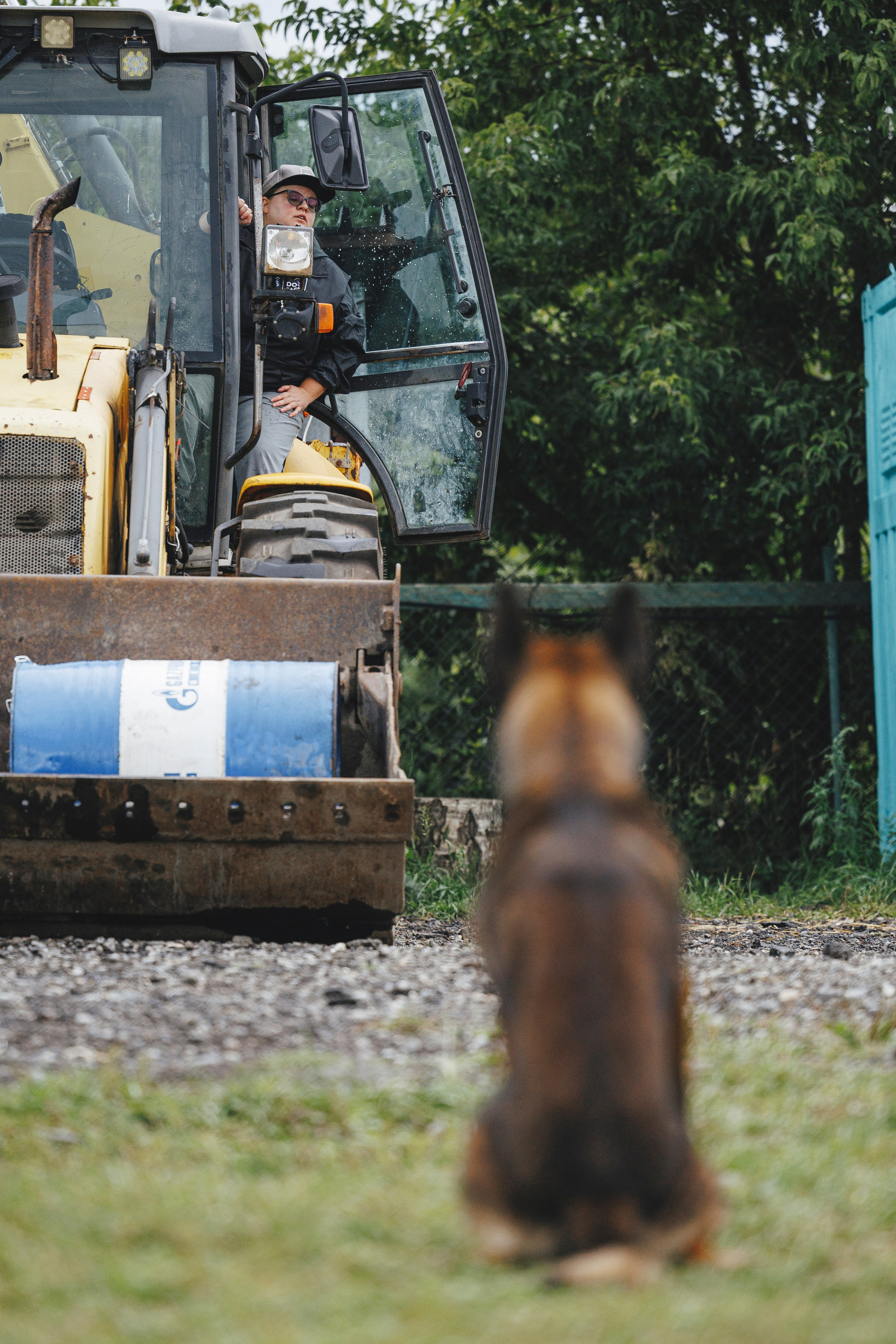 08.08.25-10.08.25 ЧР по мондьорингу г. Вологда. Фотограф-анималист Анна Маринич