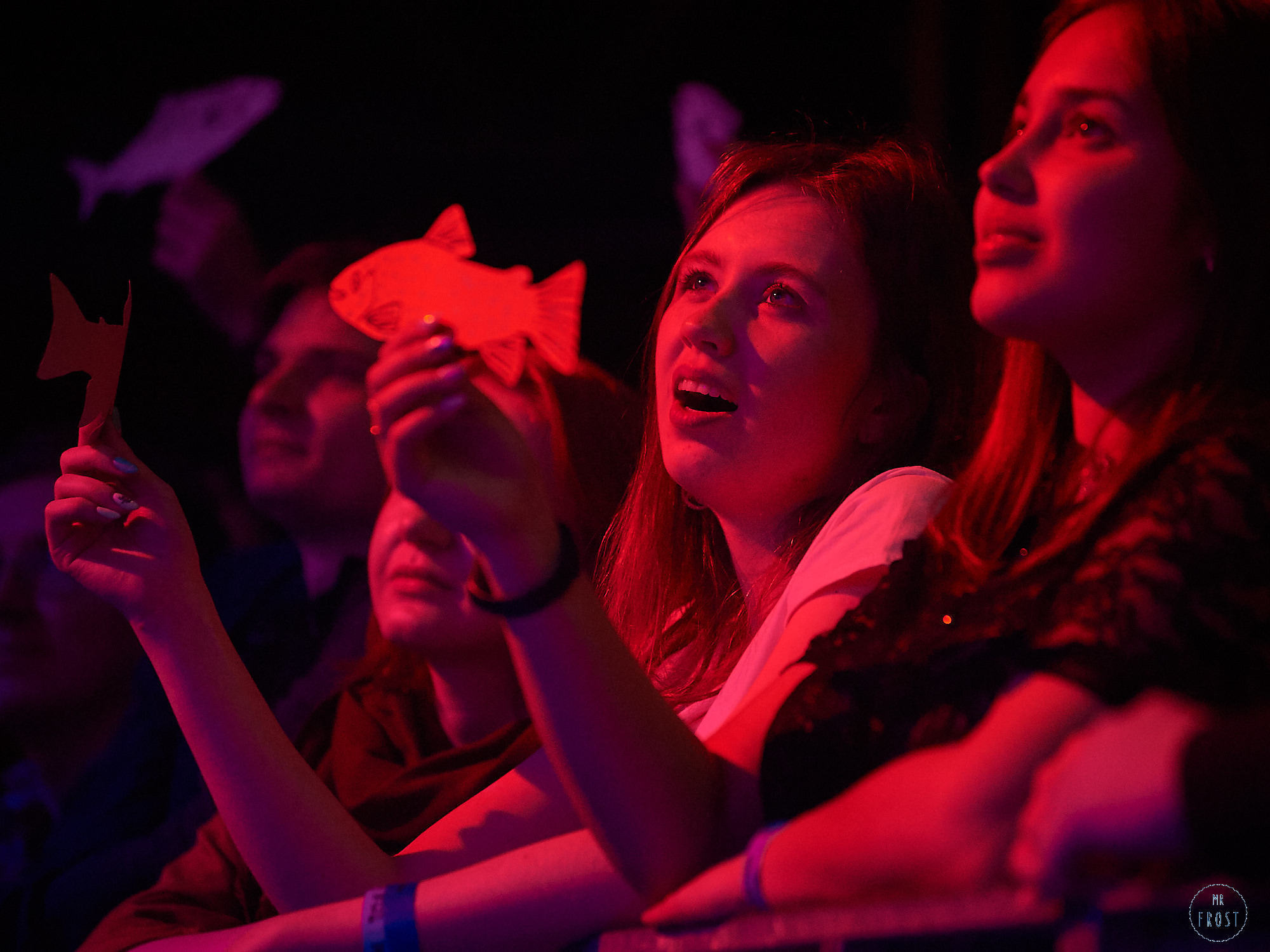 Мельница. Фотографии отовсюду и обо всем