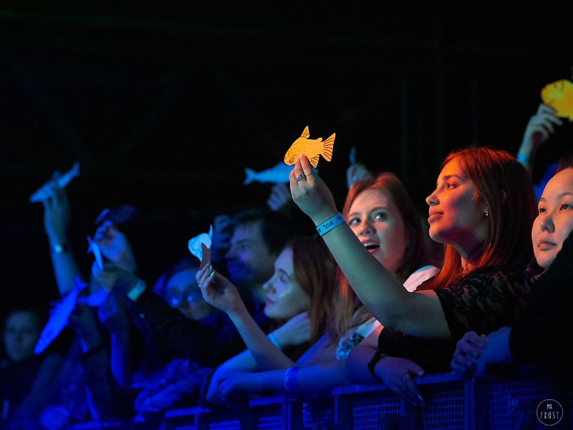 Мельница. Фотографии отовсюду и обо всем