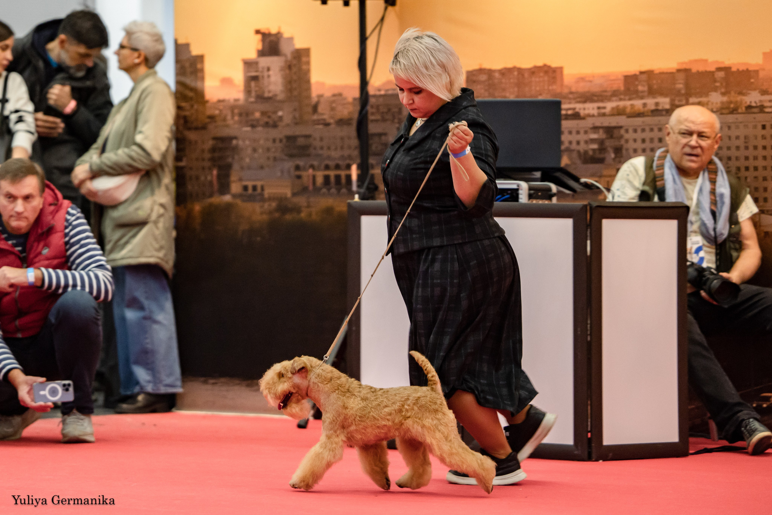 Нижний Новгород 21-22.10.2023. Фотограф-анималист Юлия Германика