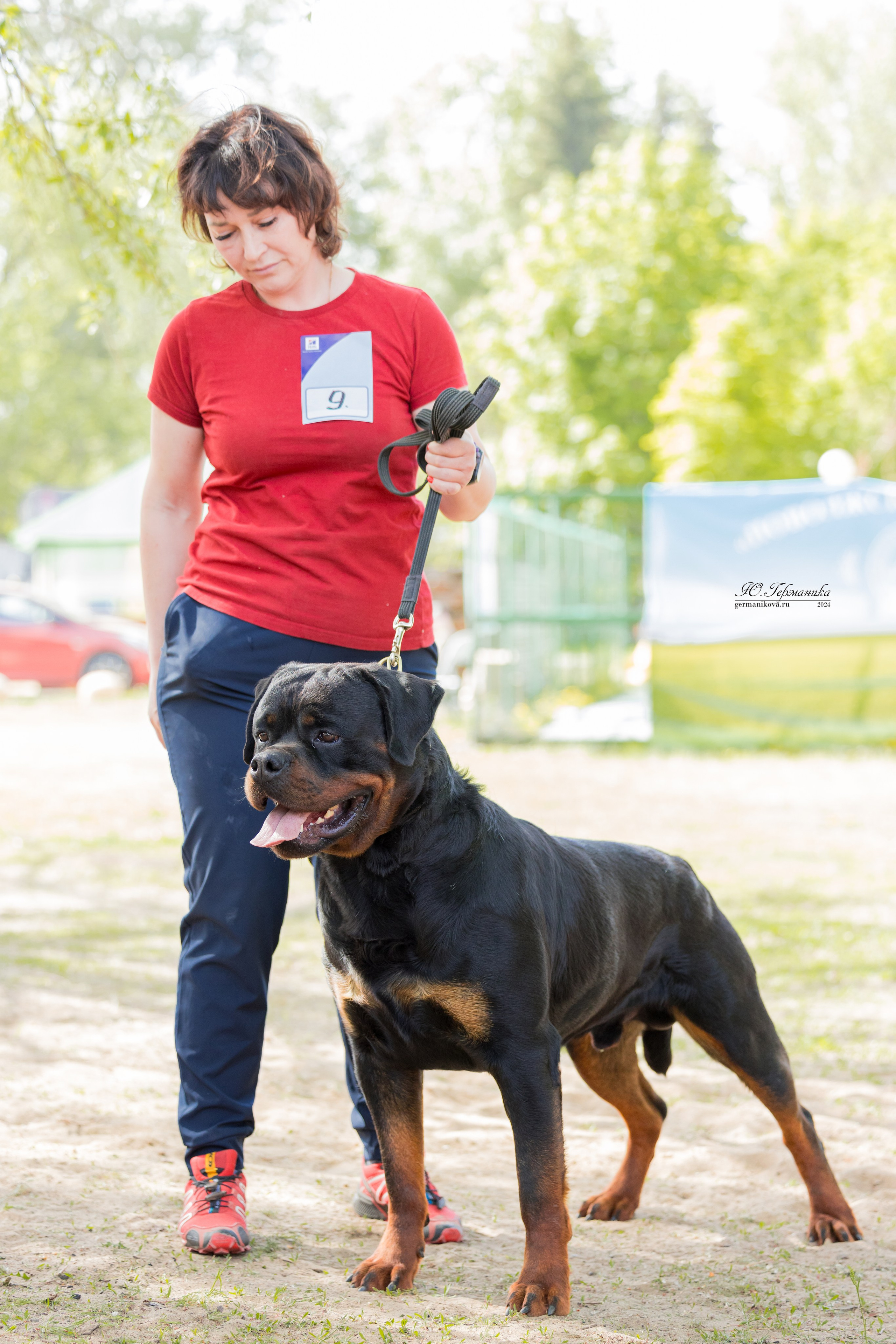 Саратов 2 х моно ротвейлеров 28-29.04.2024. Фотограф-анималист Юлия Германика