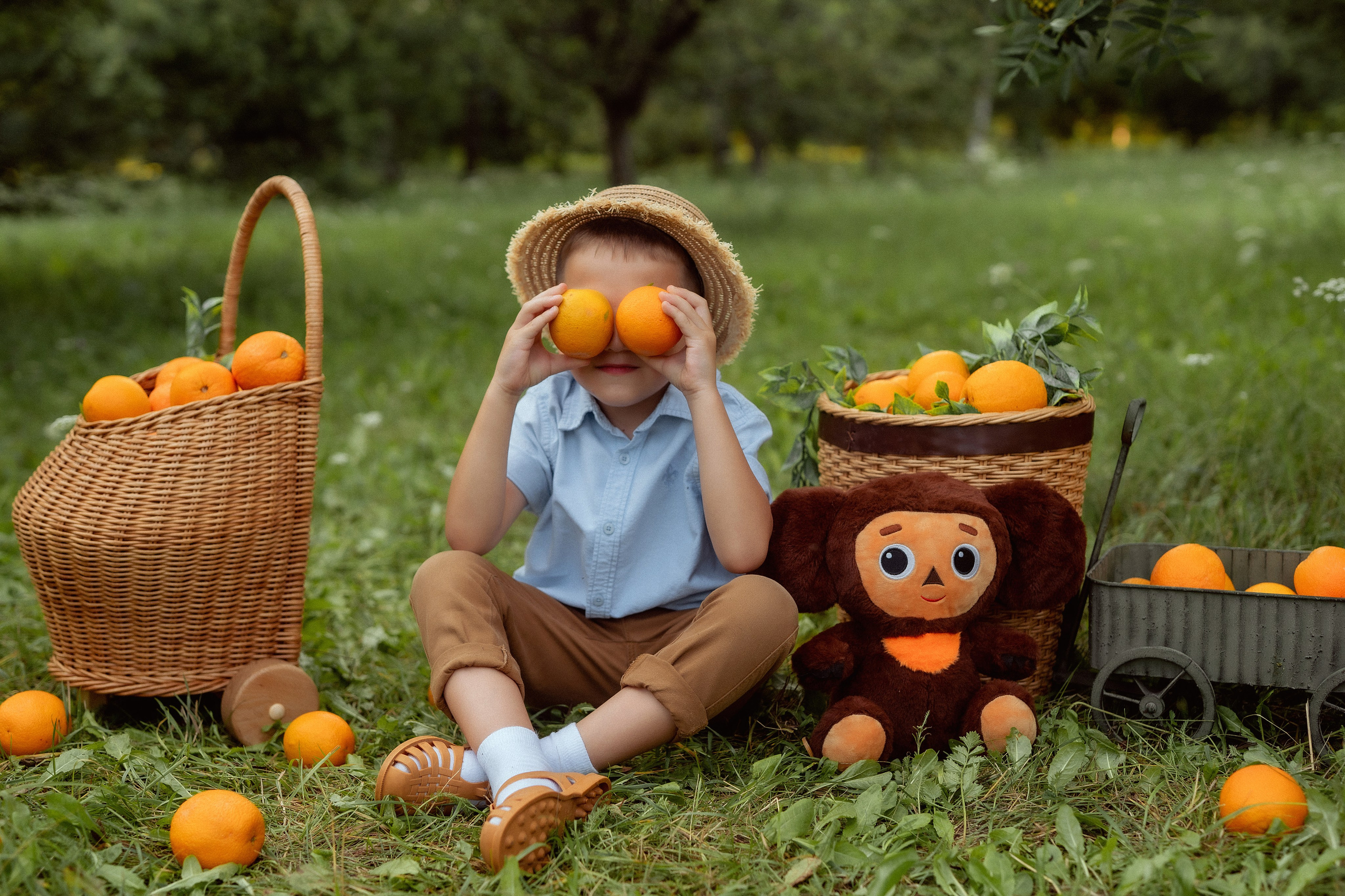 «Чебурашка». Детский и семейный фотограф в г. Ачинск Надежда Мелиоранская