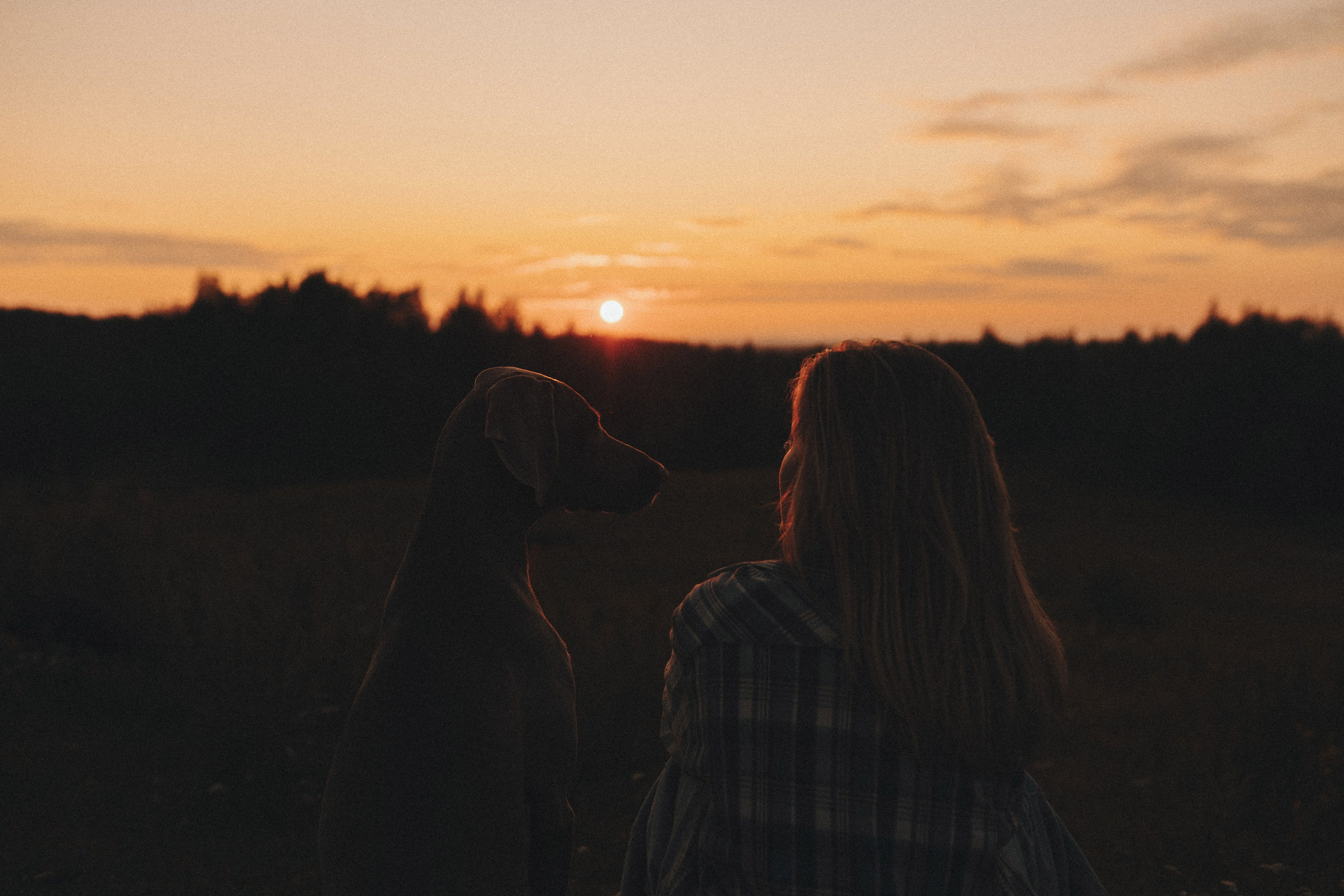 Юля и Эспен. Фотограф анималист Осипчикова Мария