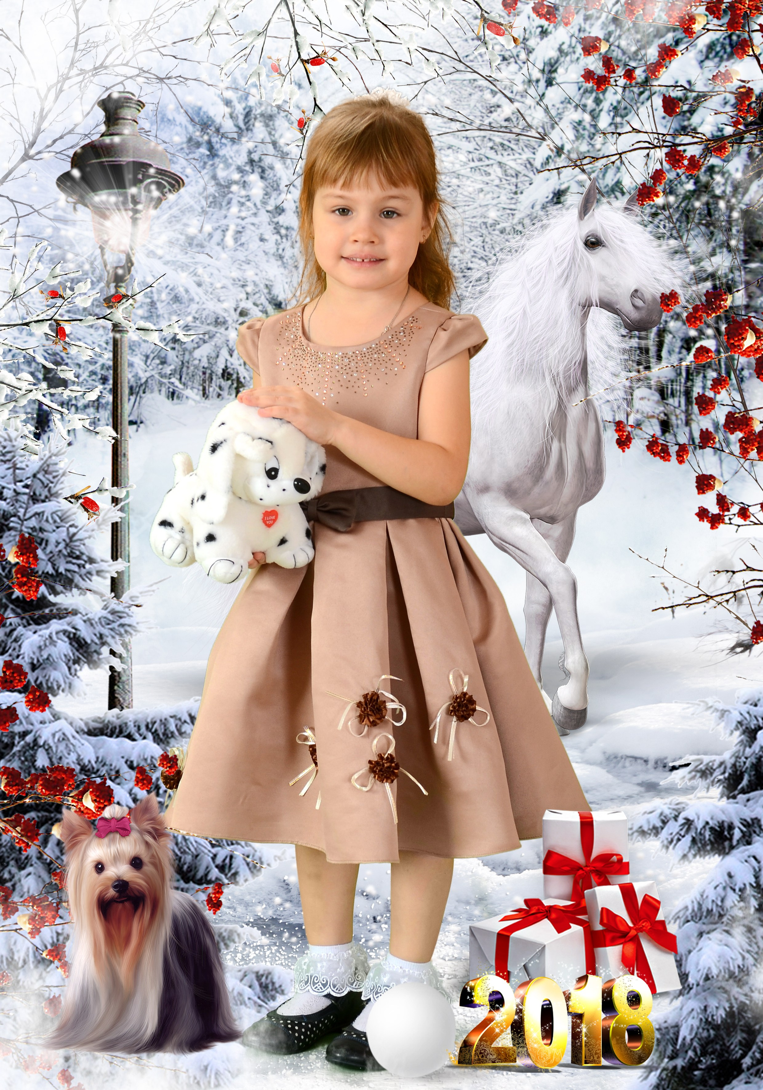 Новый год. Выпускные фотокниги, фотосъемка, видеосъемка в Челябинске и области