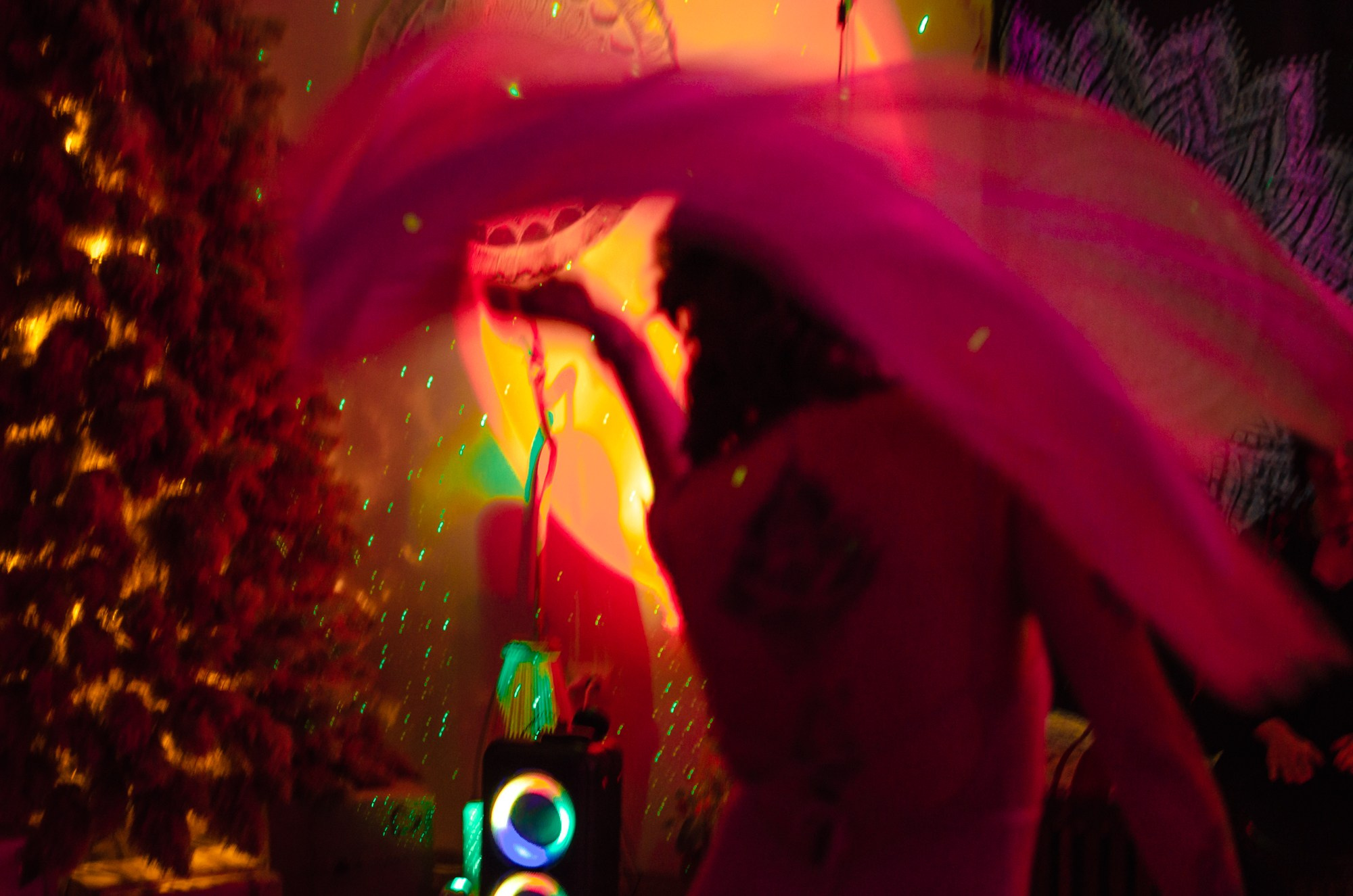 | АРТ-ДЖЕМ МАСКАРАД 29.12.24 |. Фотограф Ольга Дзюба. Фототерапия как зеркало души. КМВ