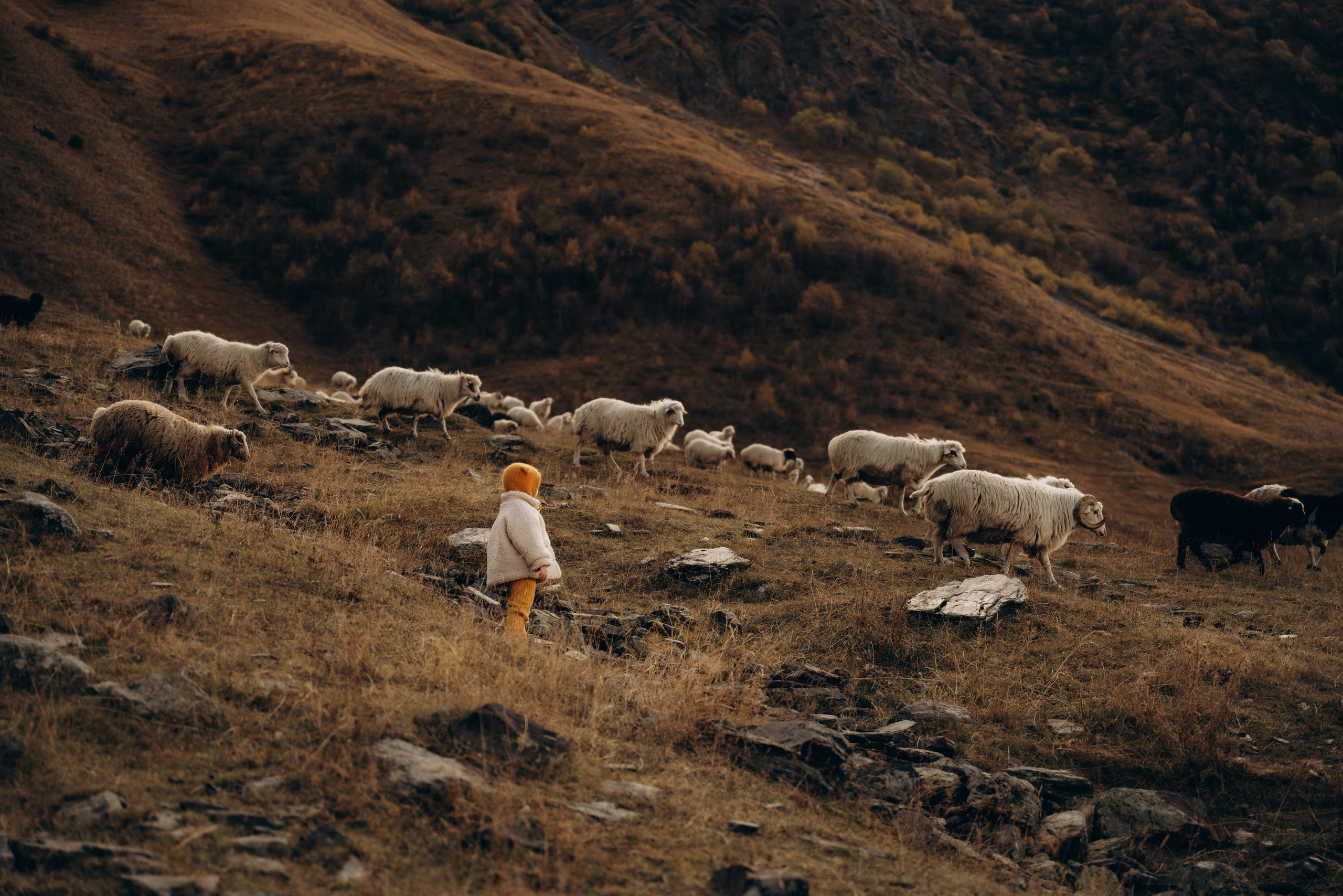 Грузия. Фотограф в Минске — Мария Миллс