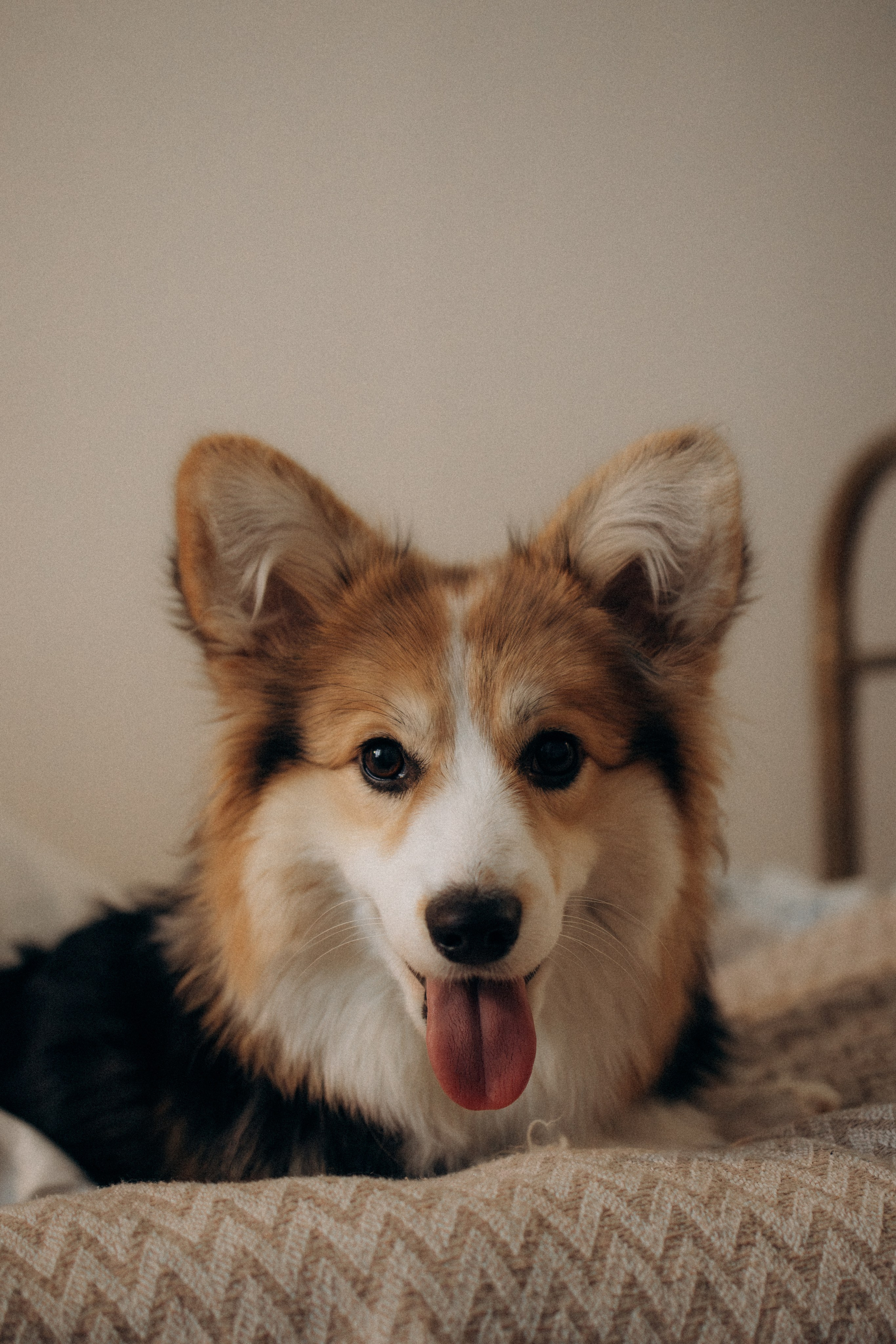 Мишель и Влада. Фотораф — анималист Мария Шистка