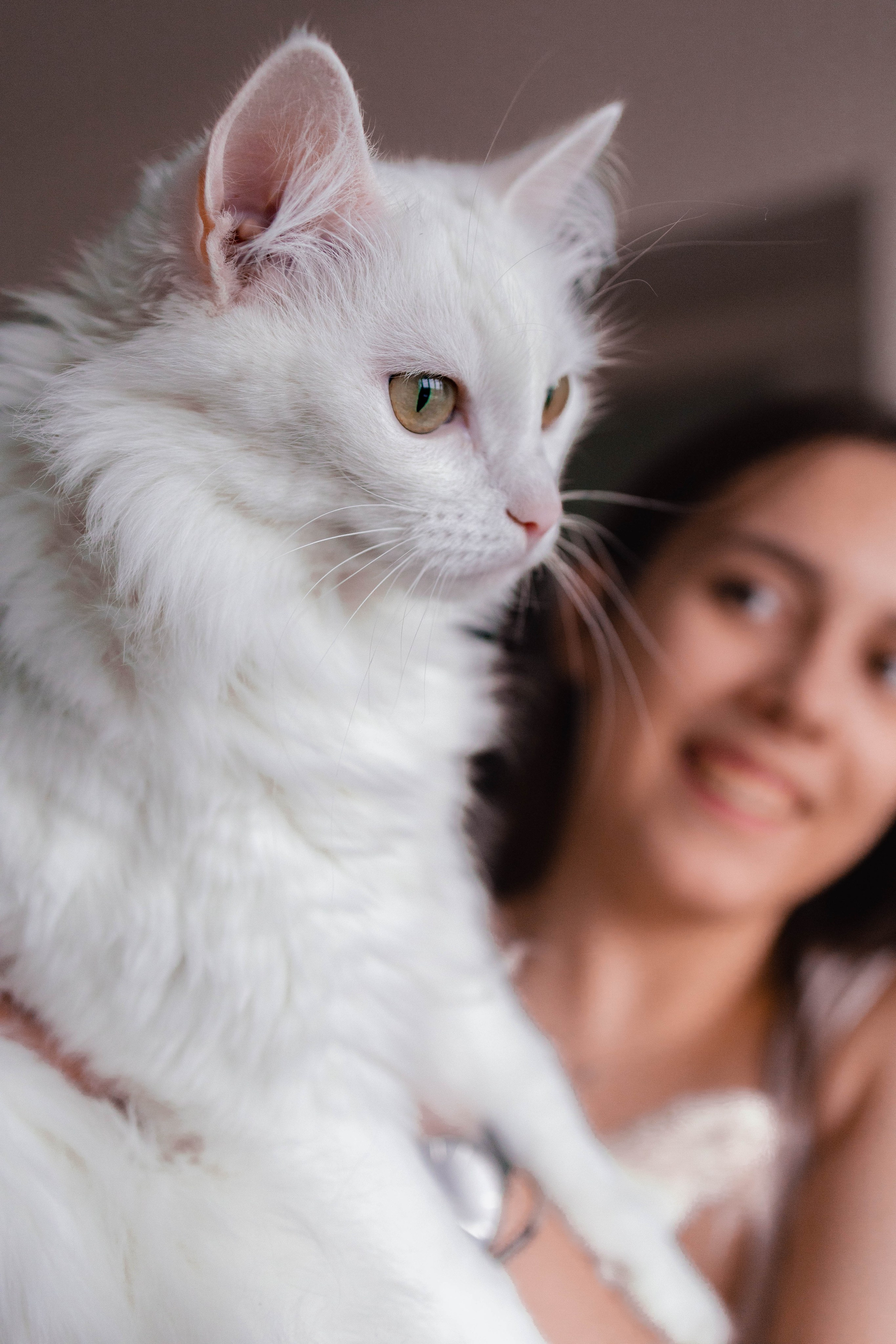 Лавстори дома для Максима и Евгении. Семейный фотограф в Москве, Щелково, Фрязино _ Виктория Степанова