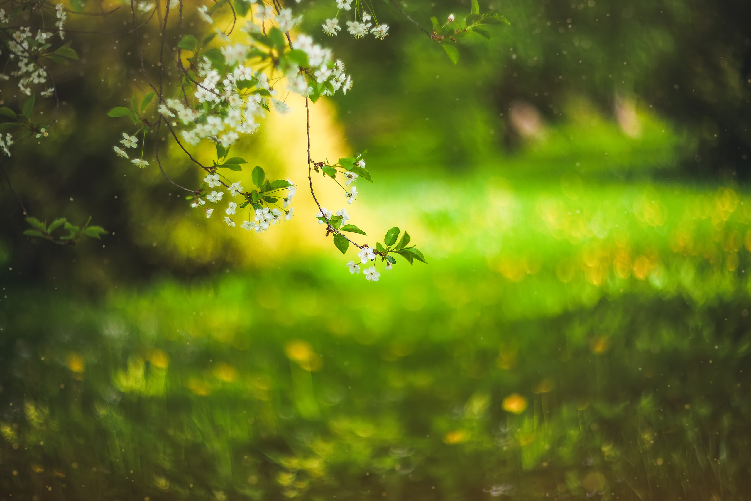 Фотограф Вероника Весна| Санкт-Петербург | Питер | Спб | Петербург|