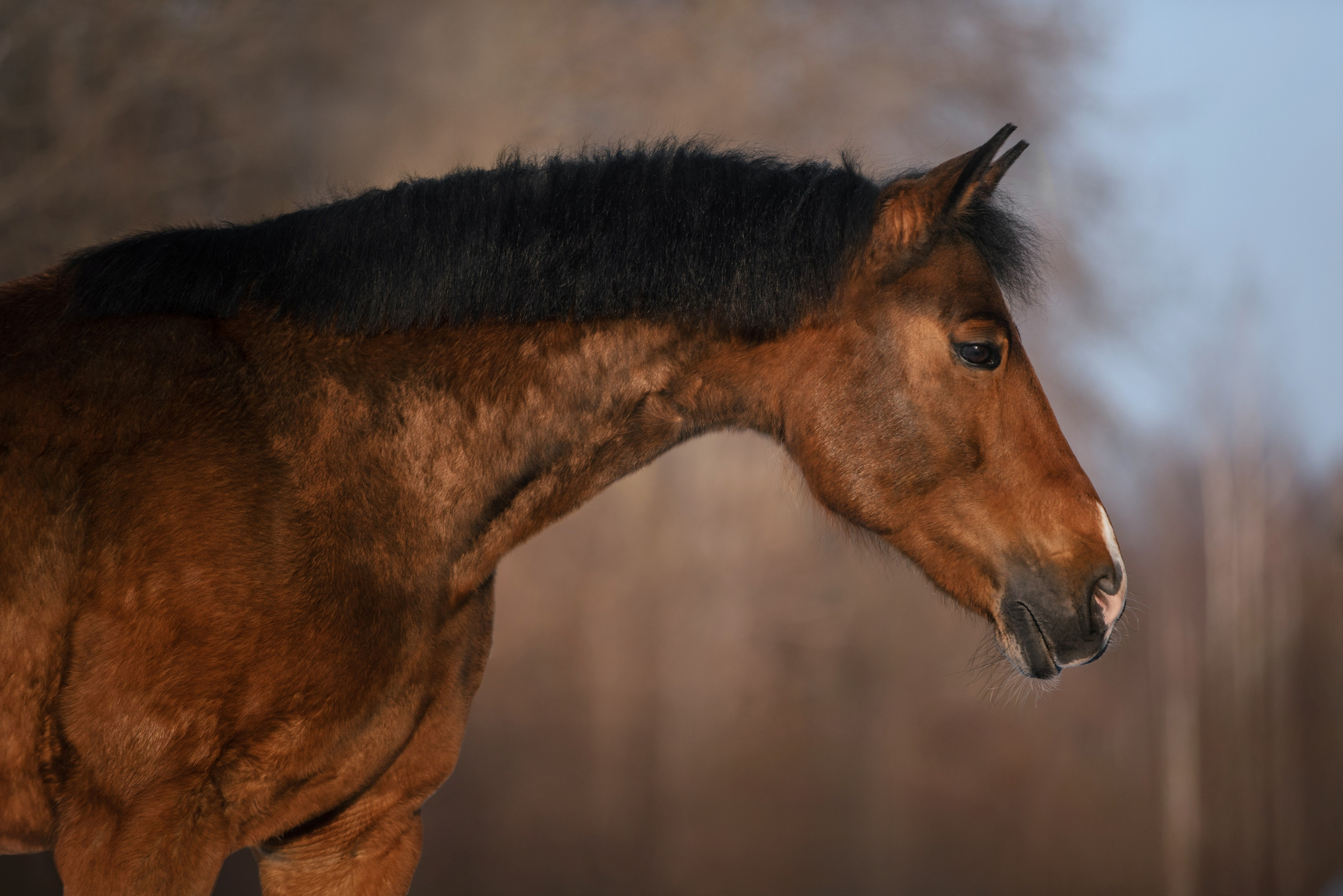 Кантри Клаб. Фотограф Анна Тюрина