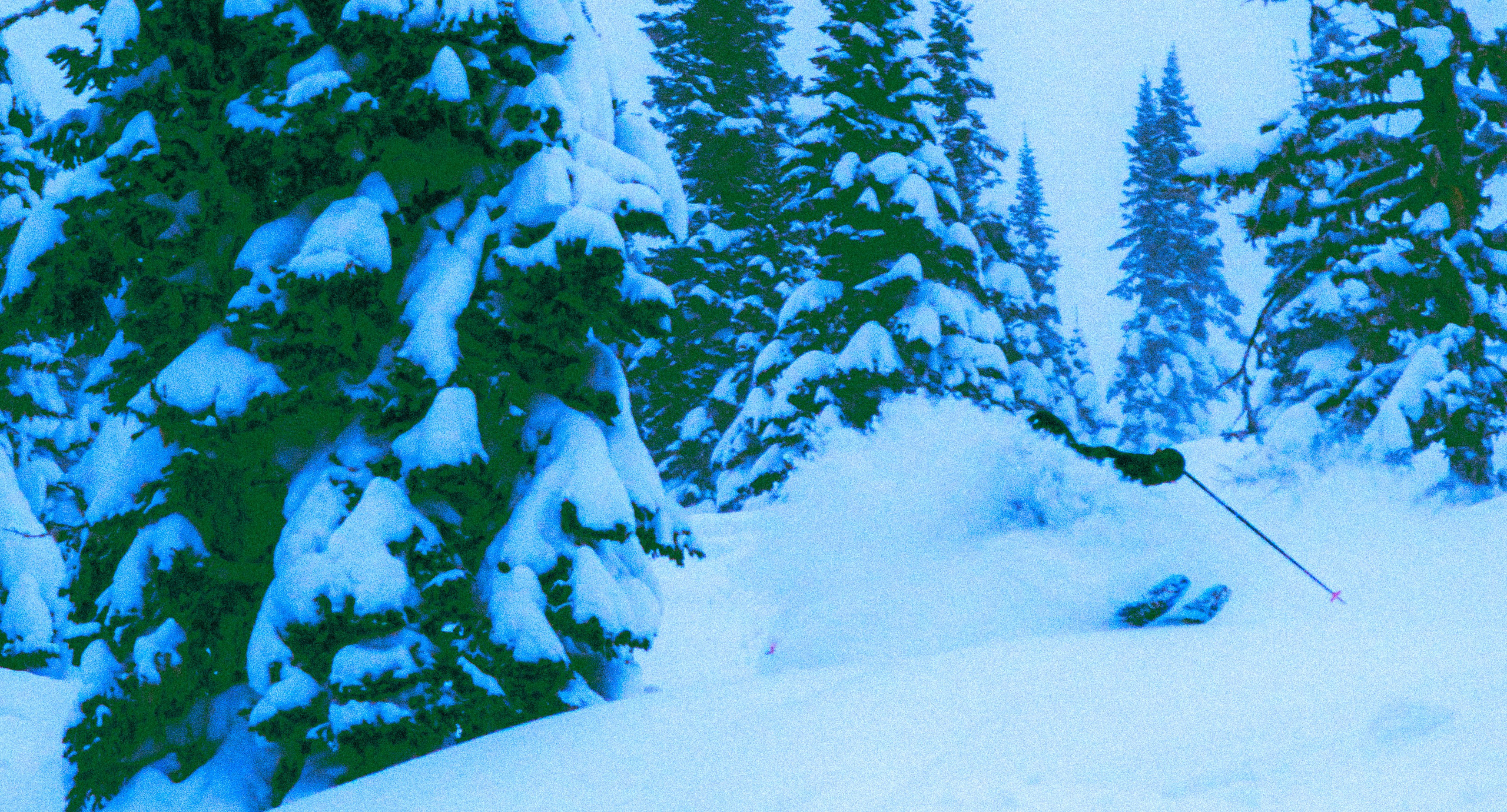 Спортивные съёмки. Iraogo