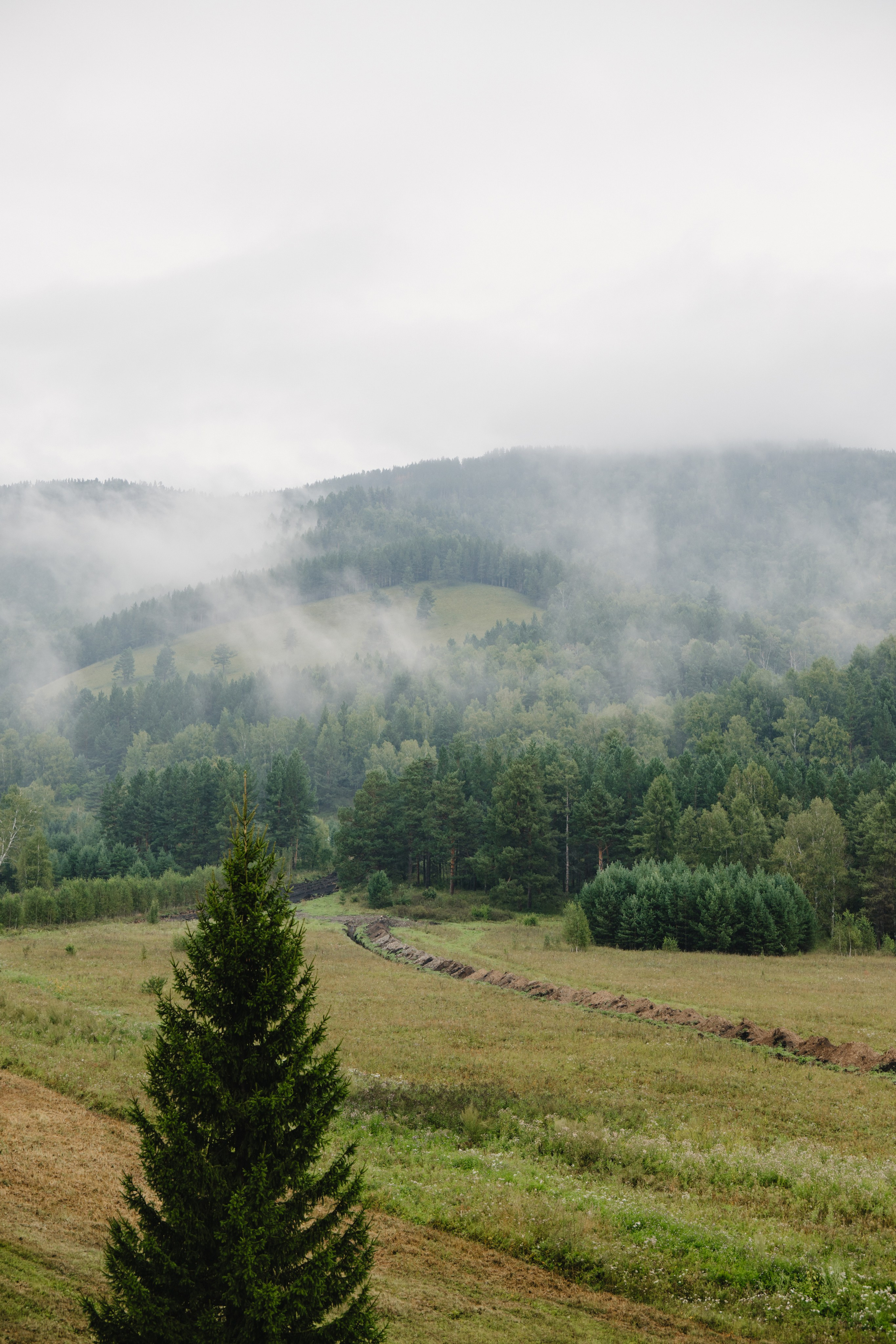 Данил и Даша. Организатор Романова Любовь