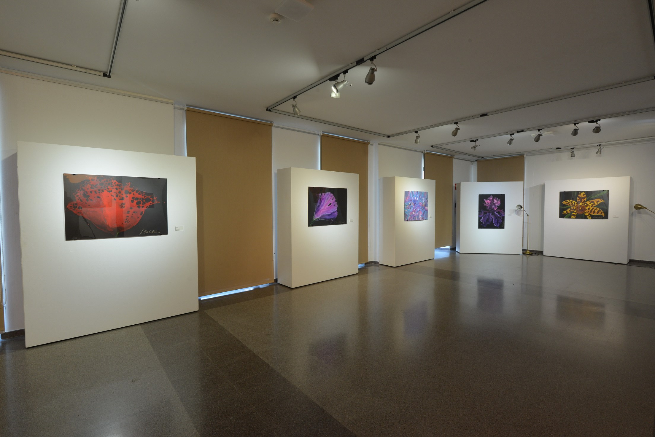 Exposición de Arte Abstracto. Fotógrafo Aleksandr Rybintsev