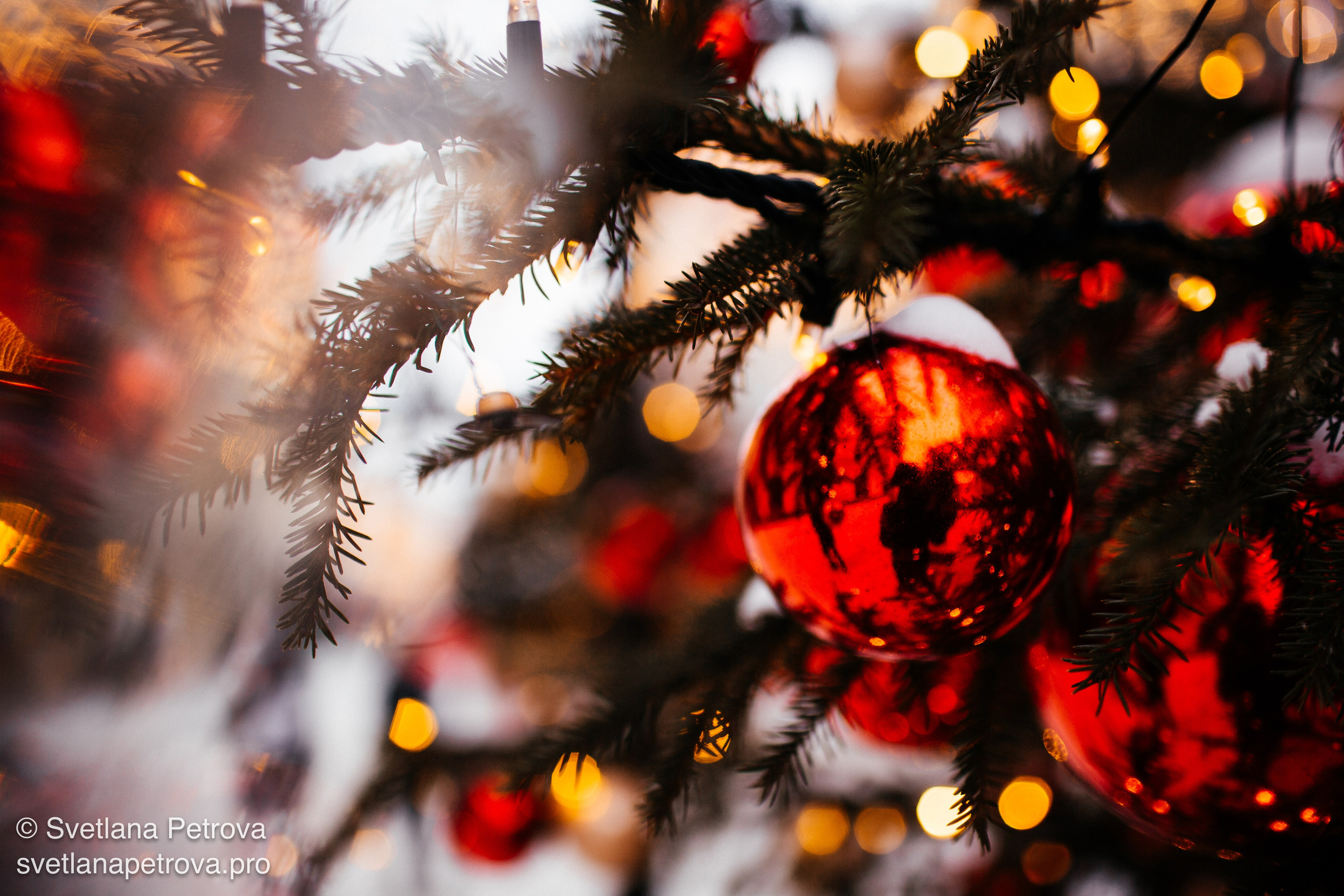 Новогодние Локации 1 января 2026. Фотограф Светлана Петрова