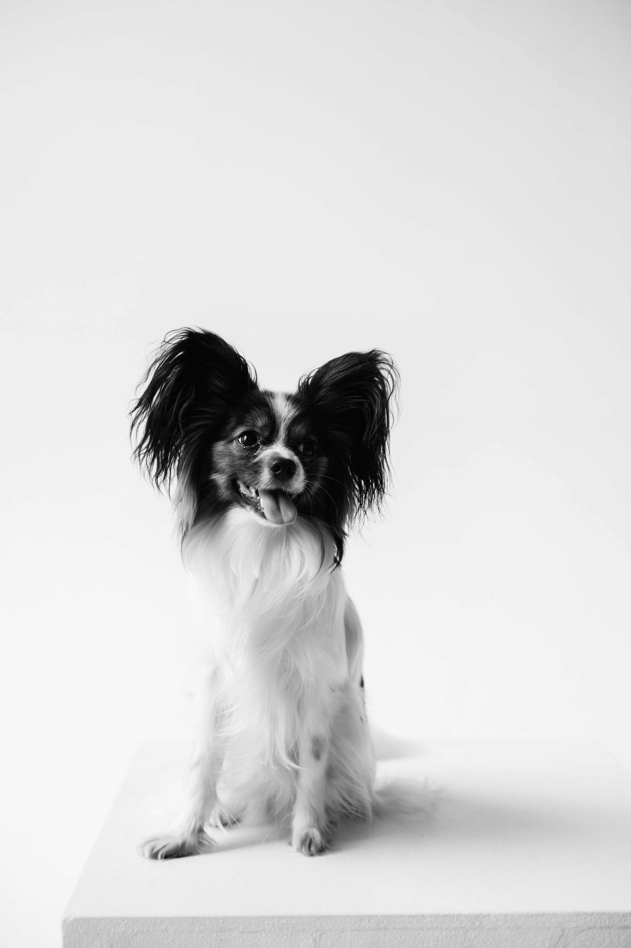 Наташа, Леша и Черри (Королев, 2025). Анна Пушина, фотограф, Москва, Королев, Пушкино