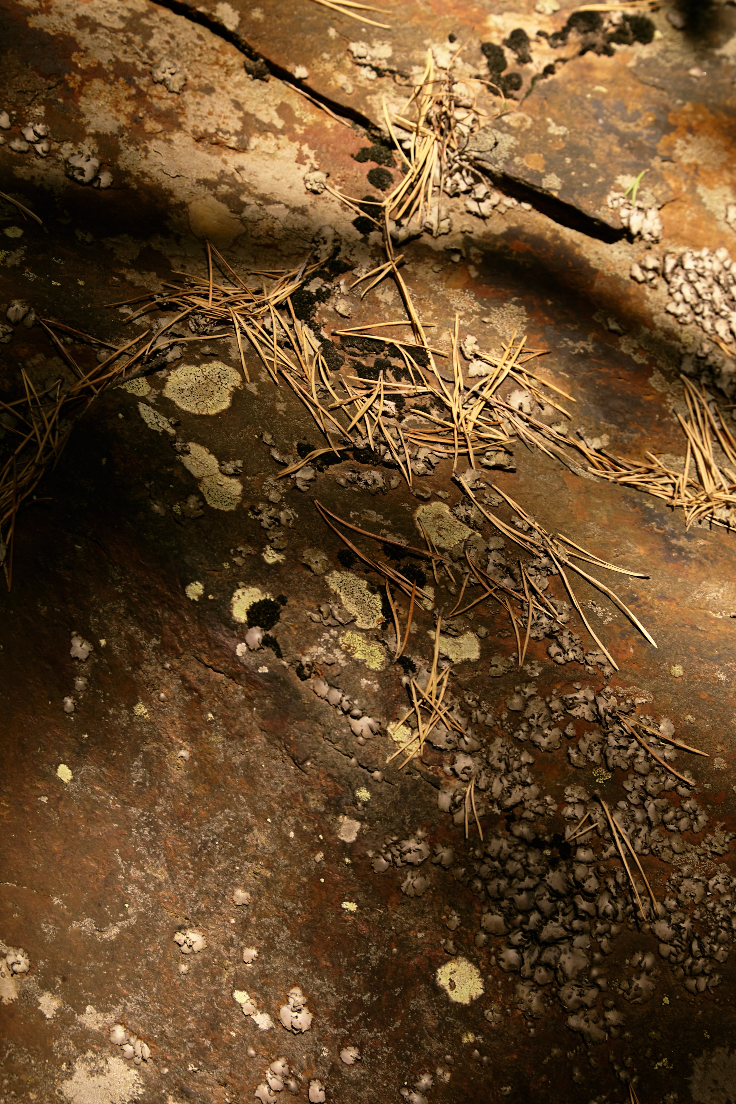 Чегем, дорога к леднику Шаурту. Фотограф Продюсер в горах КБР / Москва  Нальчик Горы