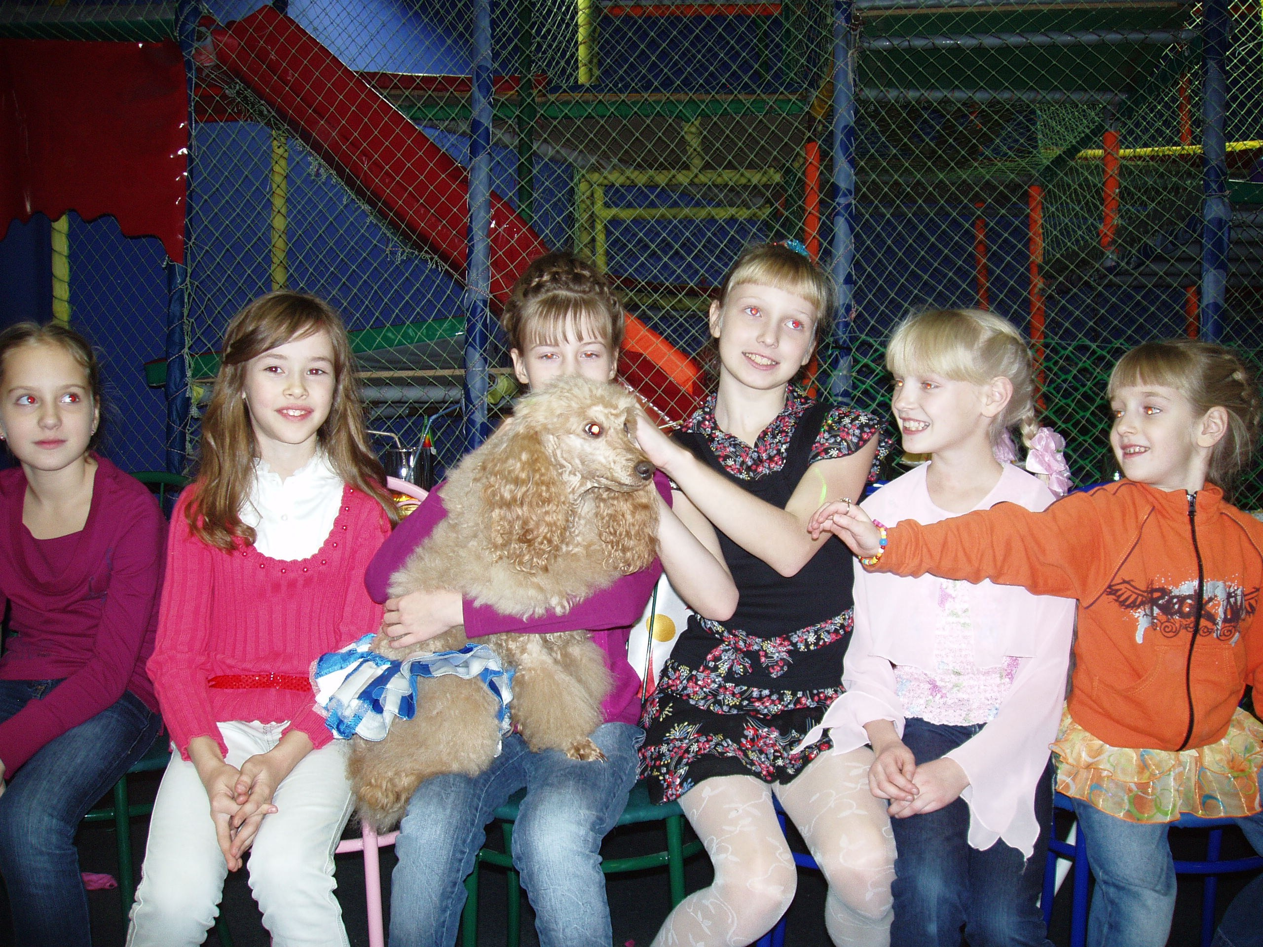 Катя ДР 11 лет Василек 30.11.2010. Семейный, Свадебный фотограф СПБ Питер— Романова Екатерина