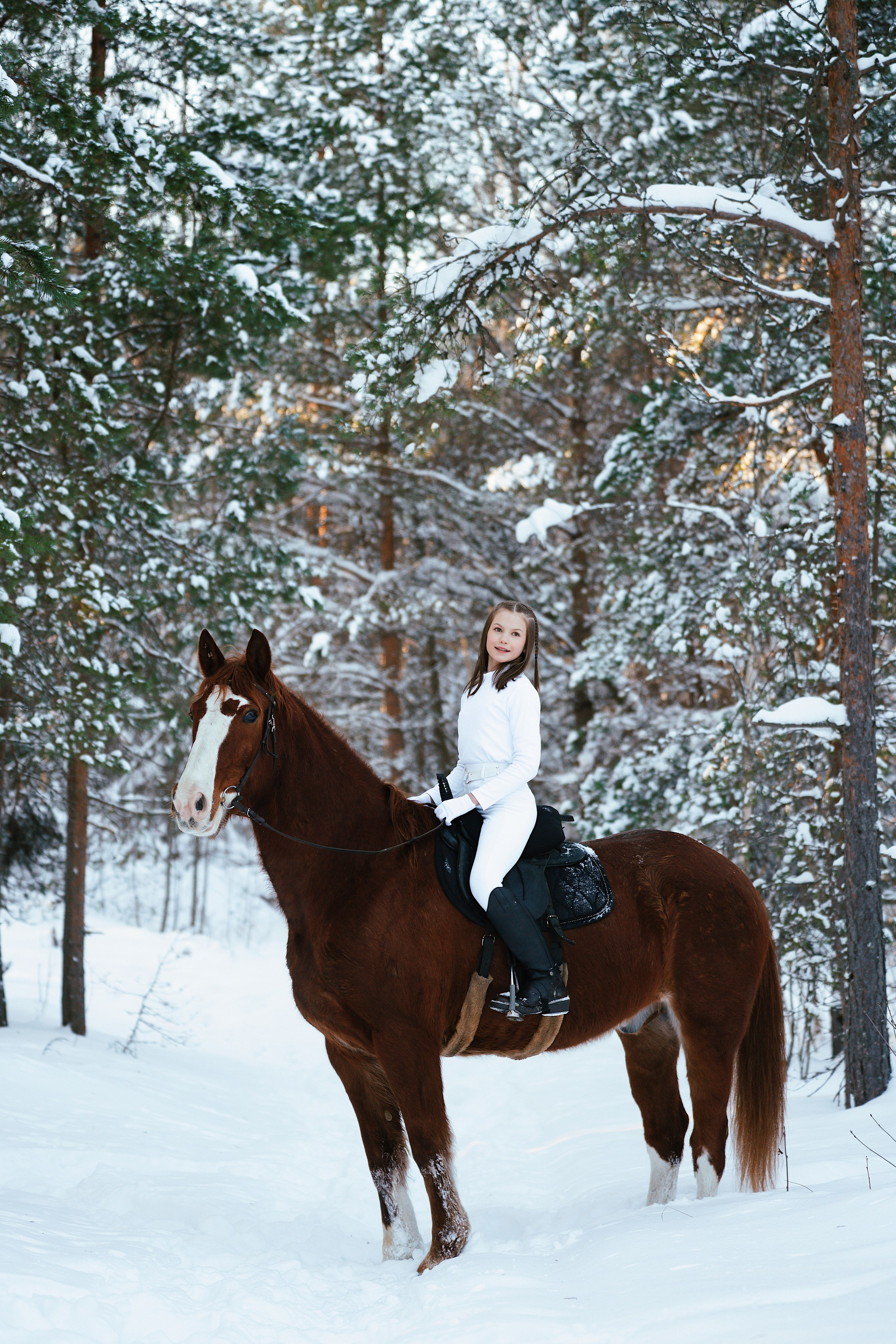 Конные. Фотограф Сибирика (Ирина Кузнецова), Санкт-Петербург и ЛО — портреты, свадьбы и семейные съемки. Творческий подход и качественные фото