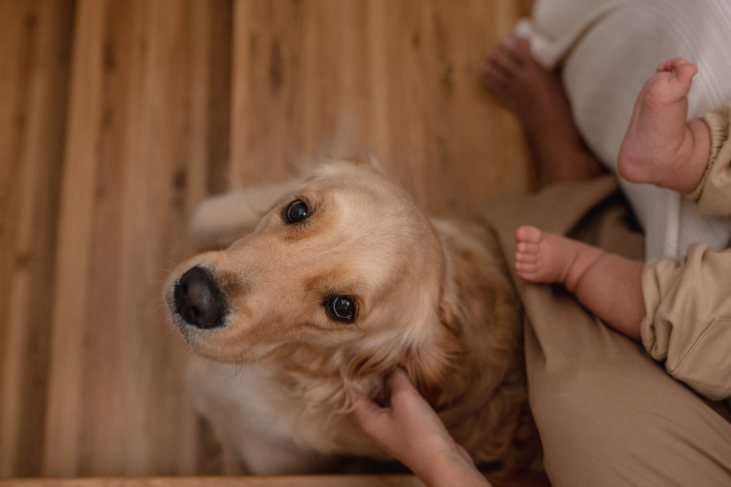 Анастасия, Егор и Тимофей. Семейный фотограф в Москве Лилия Лебедева