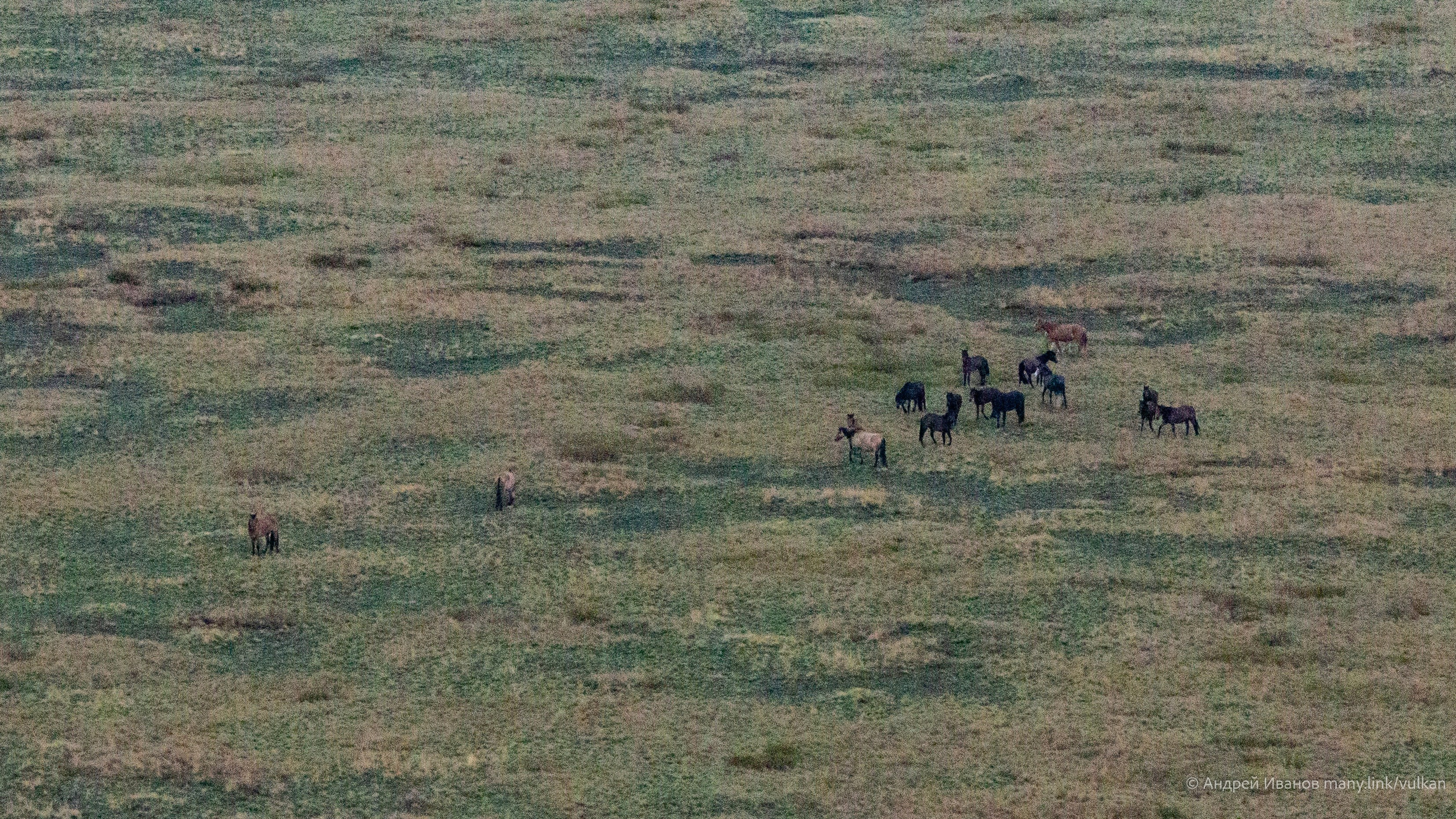 Перелёт на Байконур в 2026 г на самолётах АОН. Фотоальбом показывающий увлекательный мир авиации и мир медведей Андрея Иванова