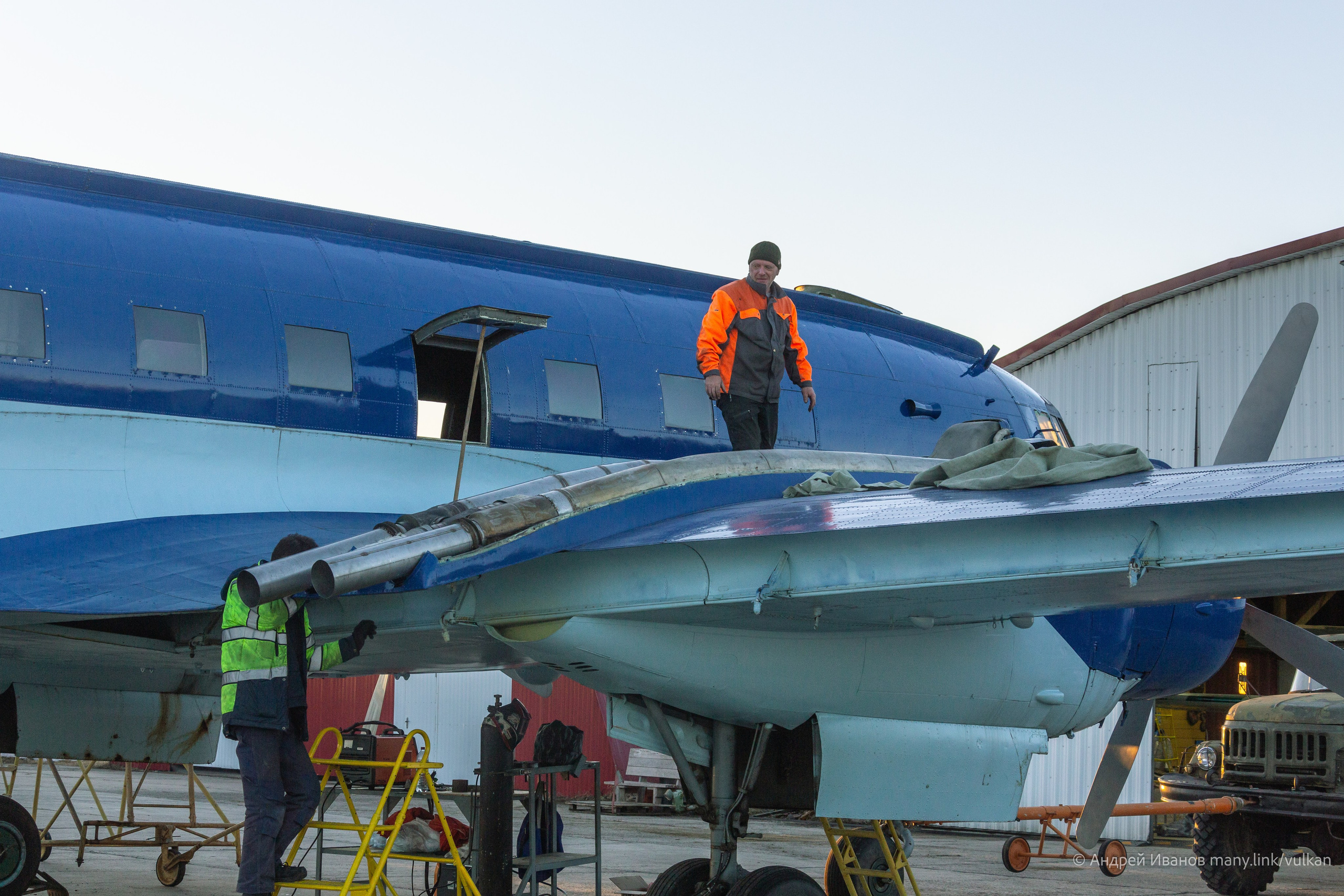 Ил-14Т «Голубая Мечта» (2026 г.). Фотоальбом показывающий увлекательный мир авиации и мир медведей Андрея Иванова