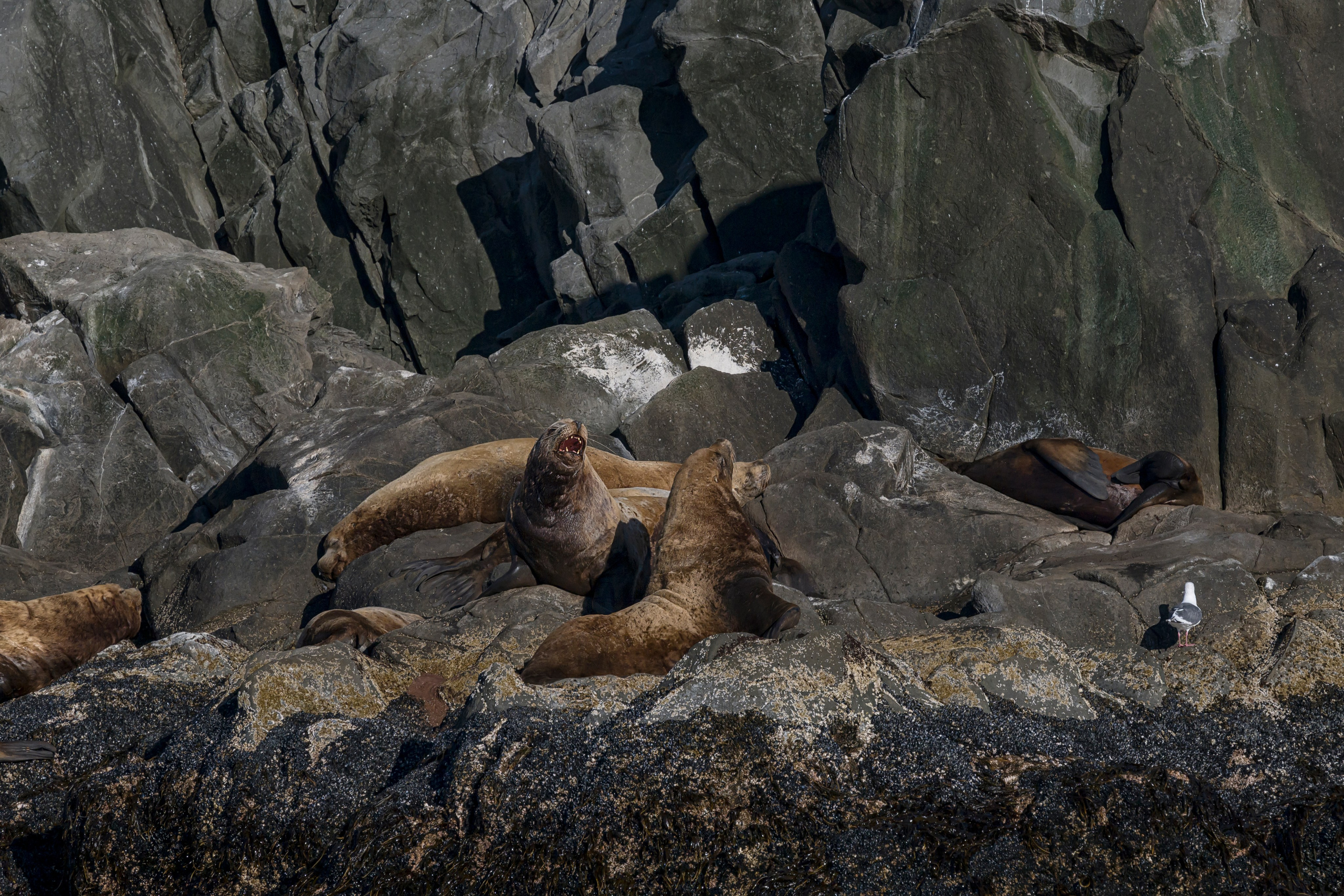 Камчатка. Портретный фотограф в Челябинске Катерина Руди