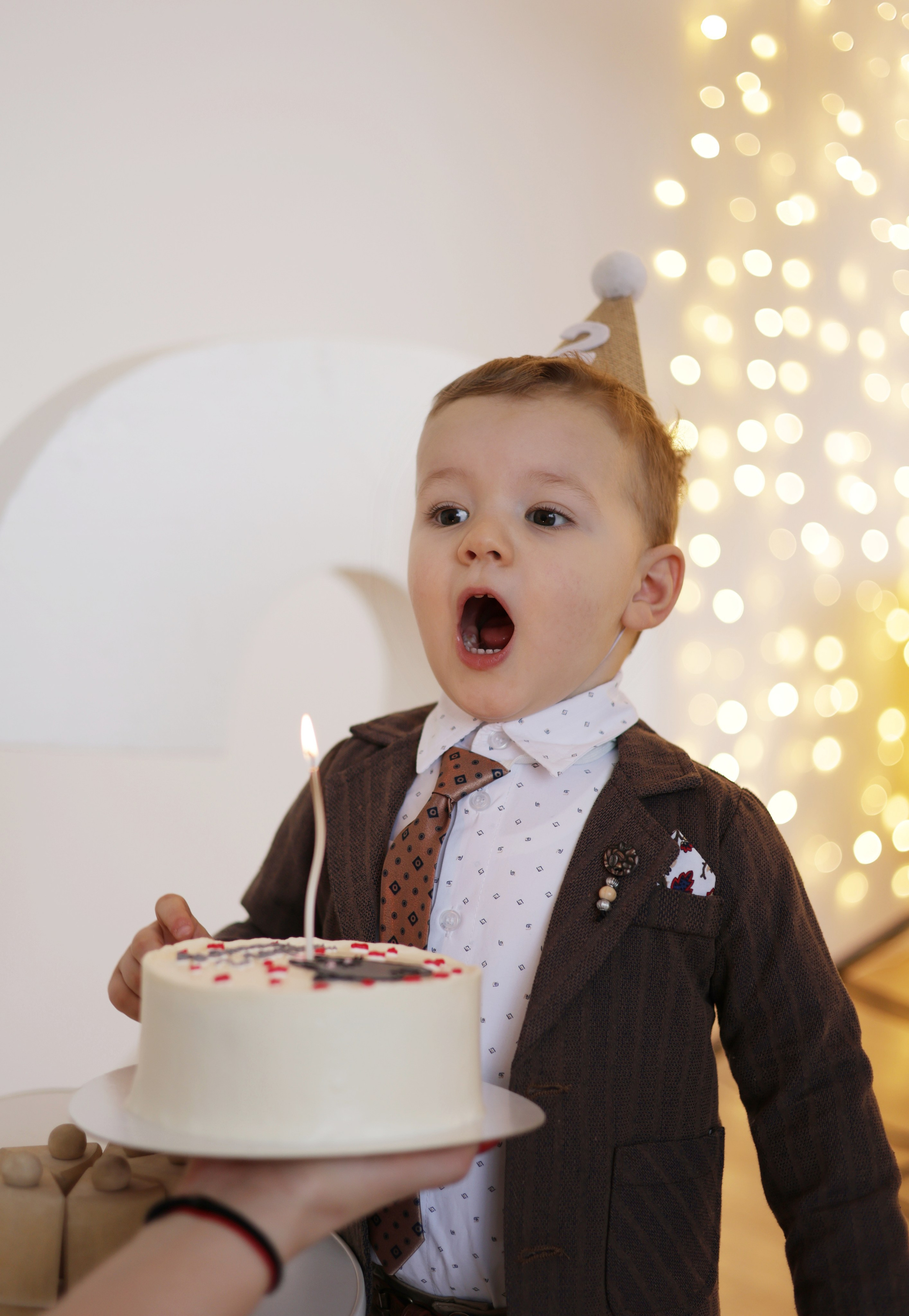 ДР Артема 2 года. Сайт фотографа Ирины Аникановой