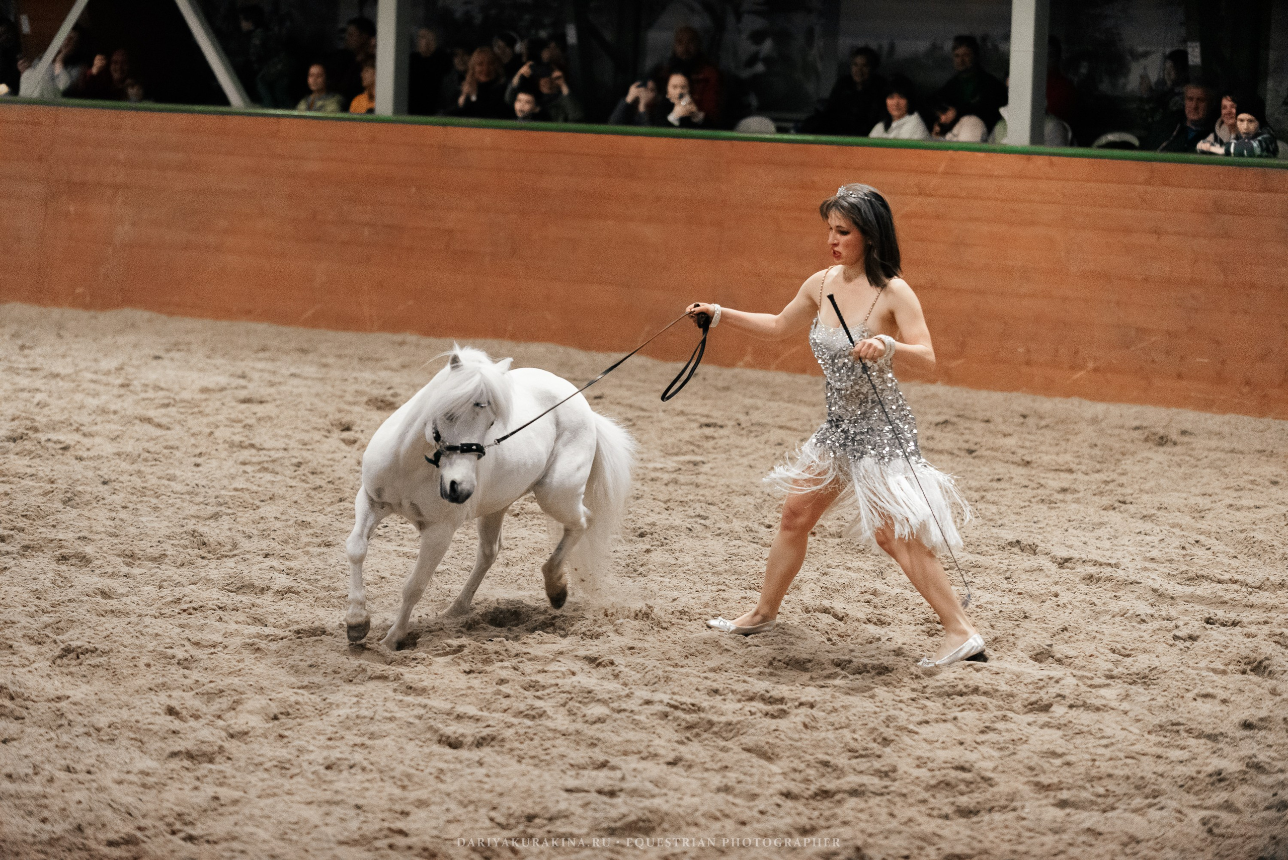 Конное представление «Дыхание Звёзд». Конный фотограф Куракина Дарья • Фотосессии с лошадьми