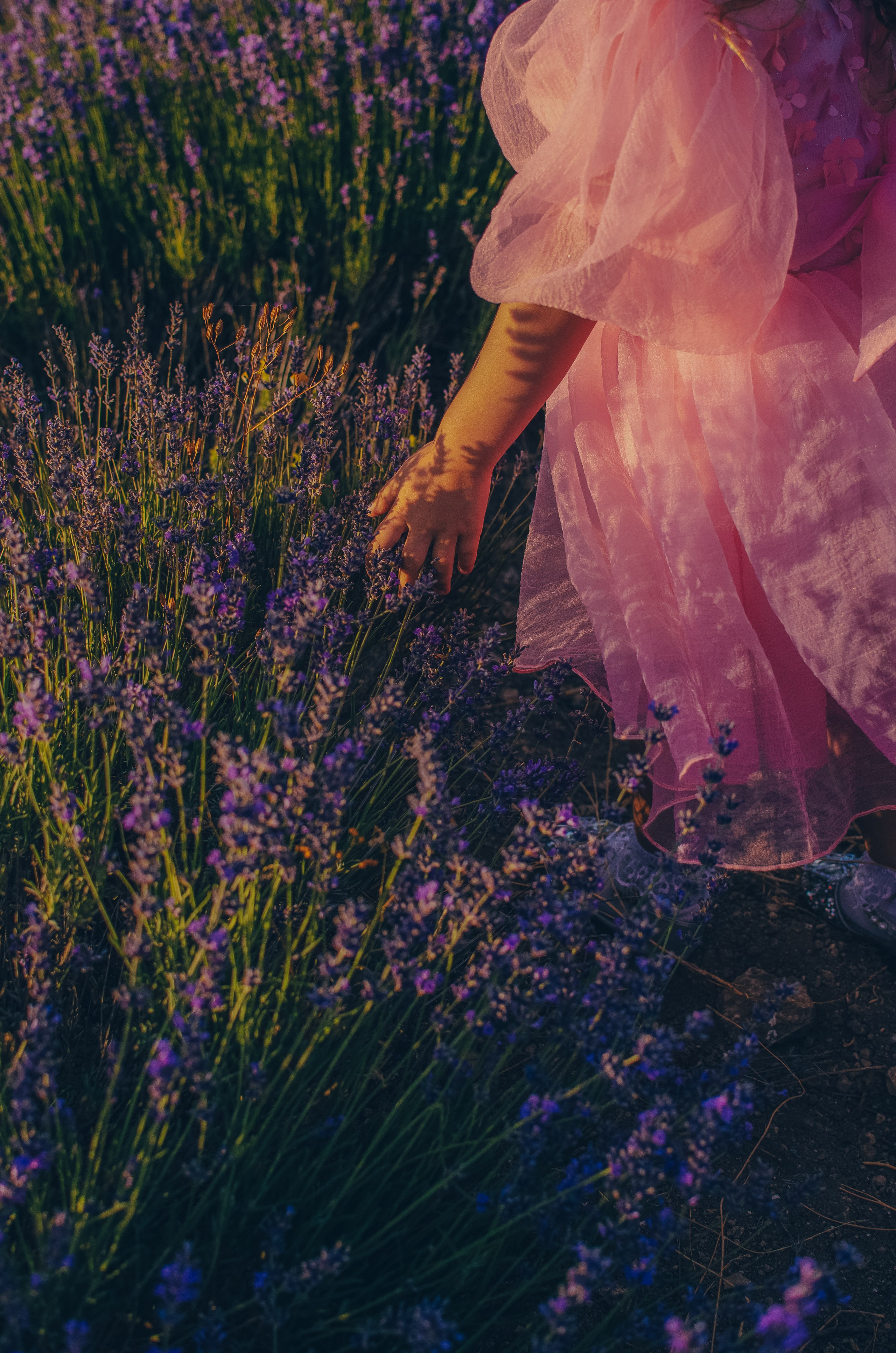 Лаванда, Елена 💜. Фотограф в Евпатории и по Крыму с которым комфортно всем Добровольская Татьяна