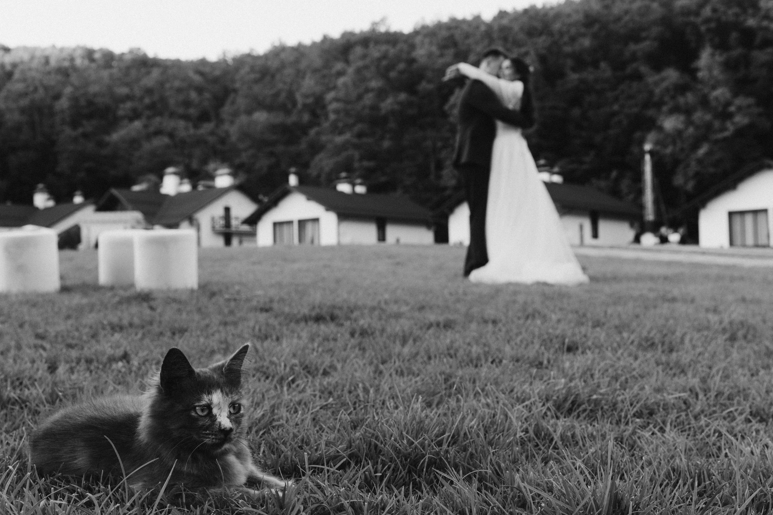 17.08.2025. Свадебный фотограф Краснодара Александр Кулагин