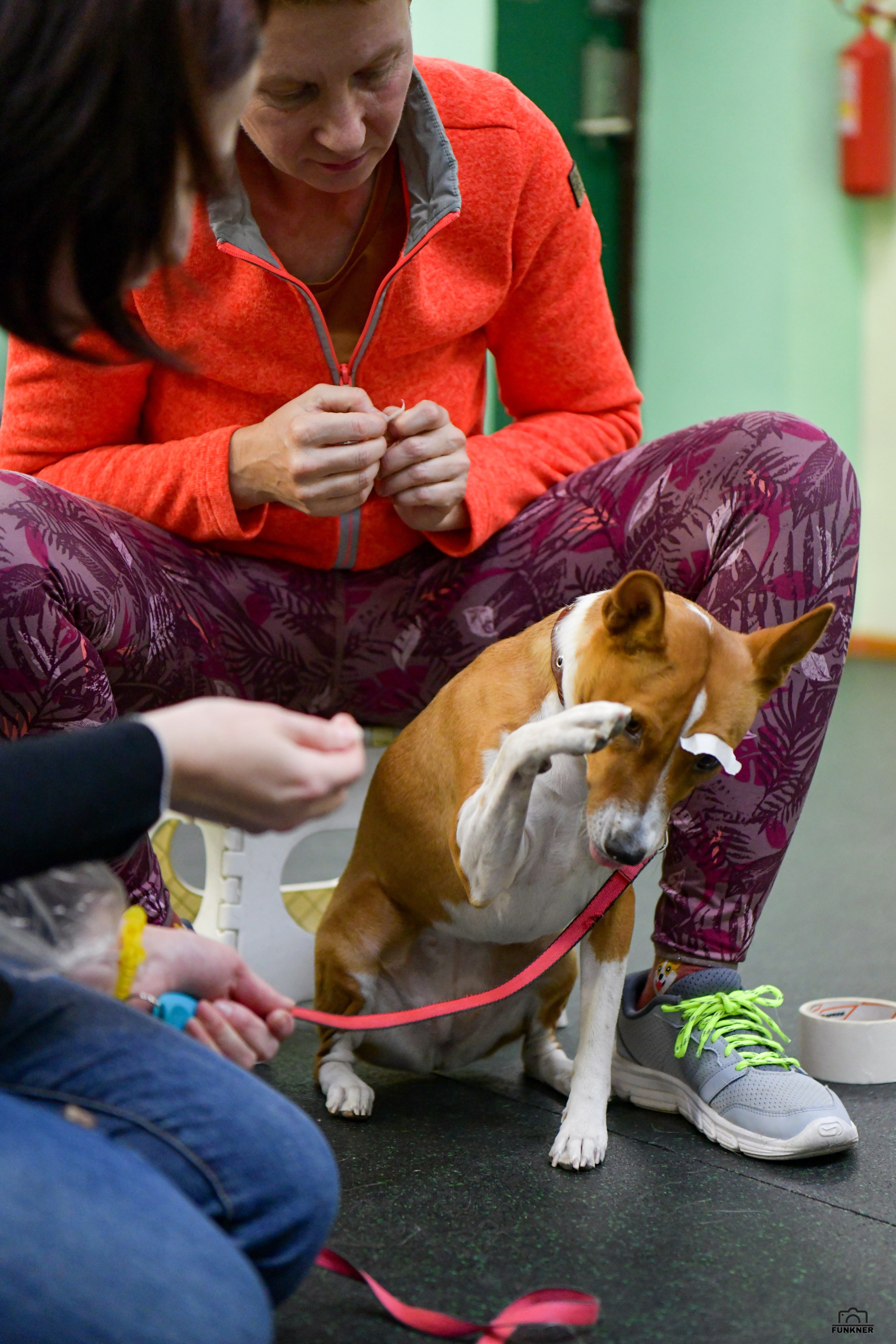 Кинологический клуб «Бодрый хвост». Свой взгляд через объектив