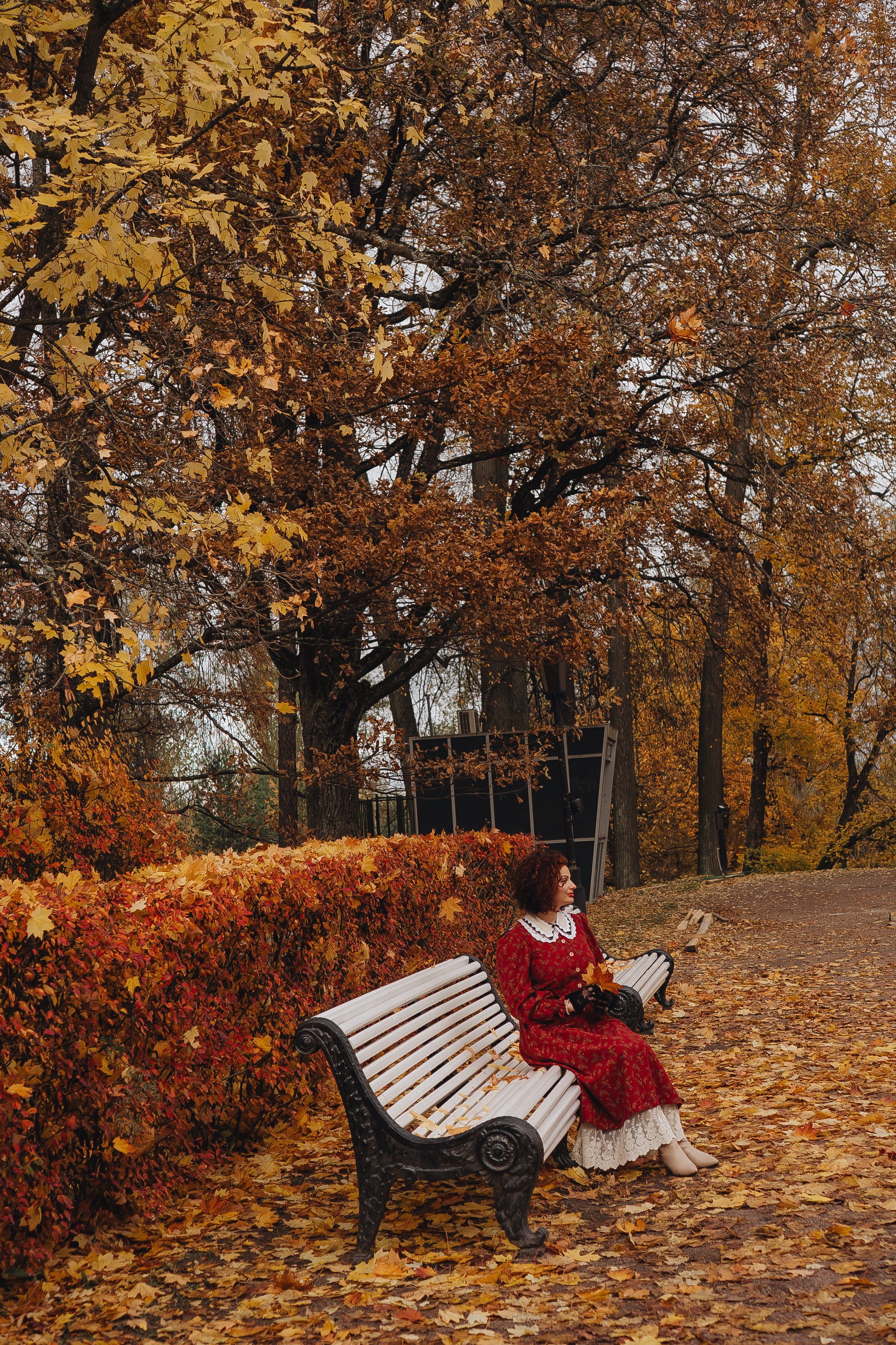 Осенний парк. Профессиональный фотограф, Санкт-Петербург — Виктория Богомолова