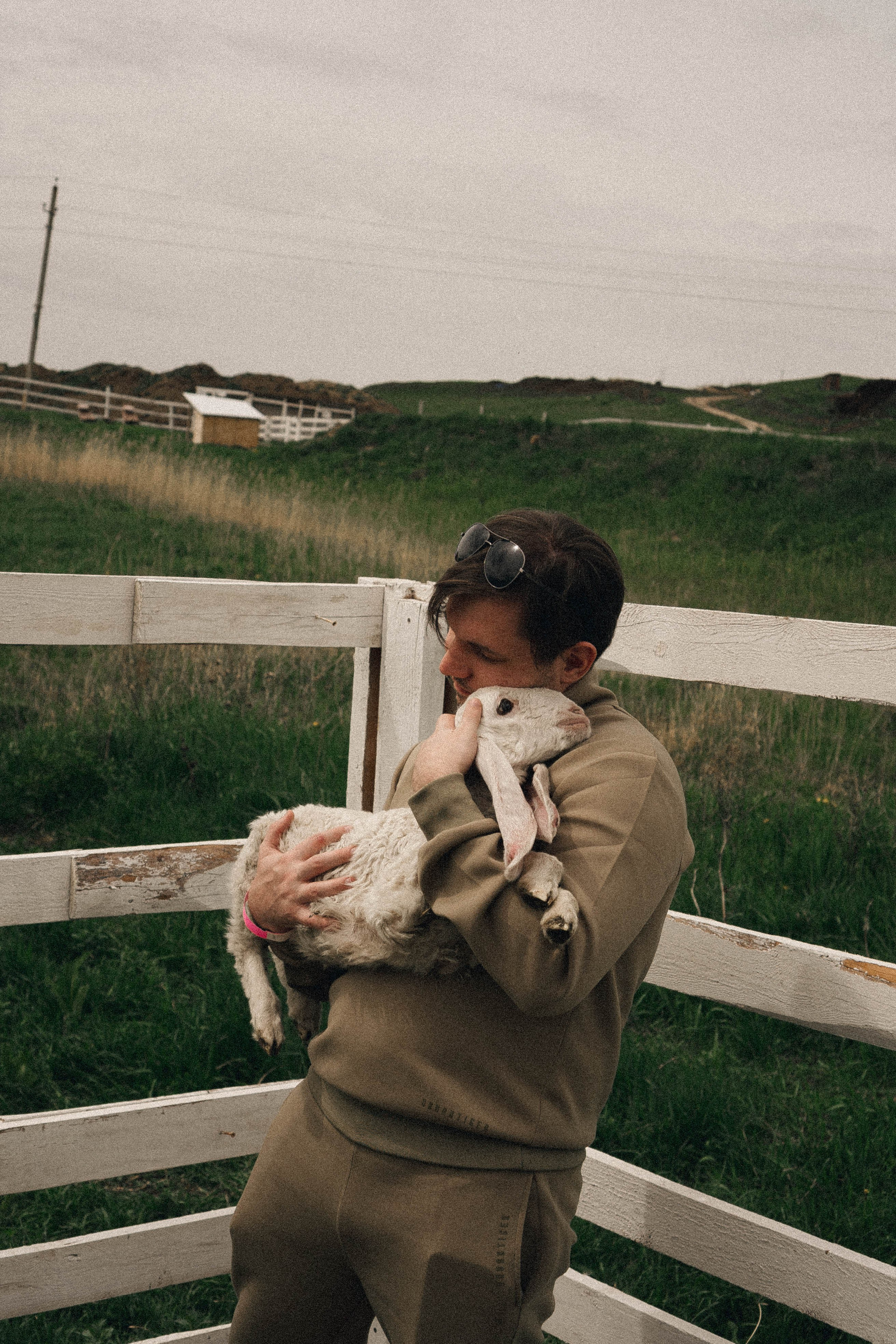 Ферма Альпак. Профессиональный фотограф, Санкт-Петербург — Виктория Богомолова