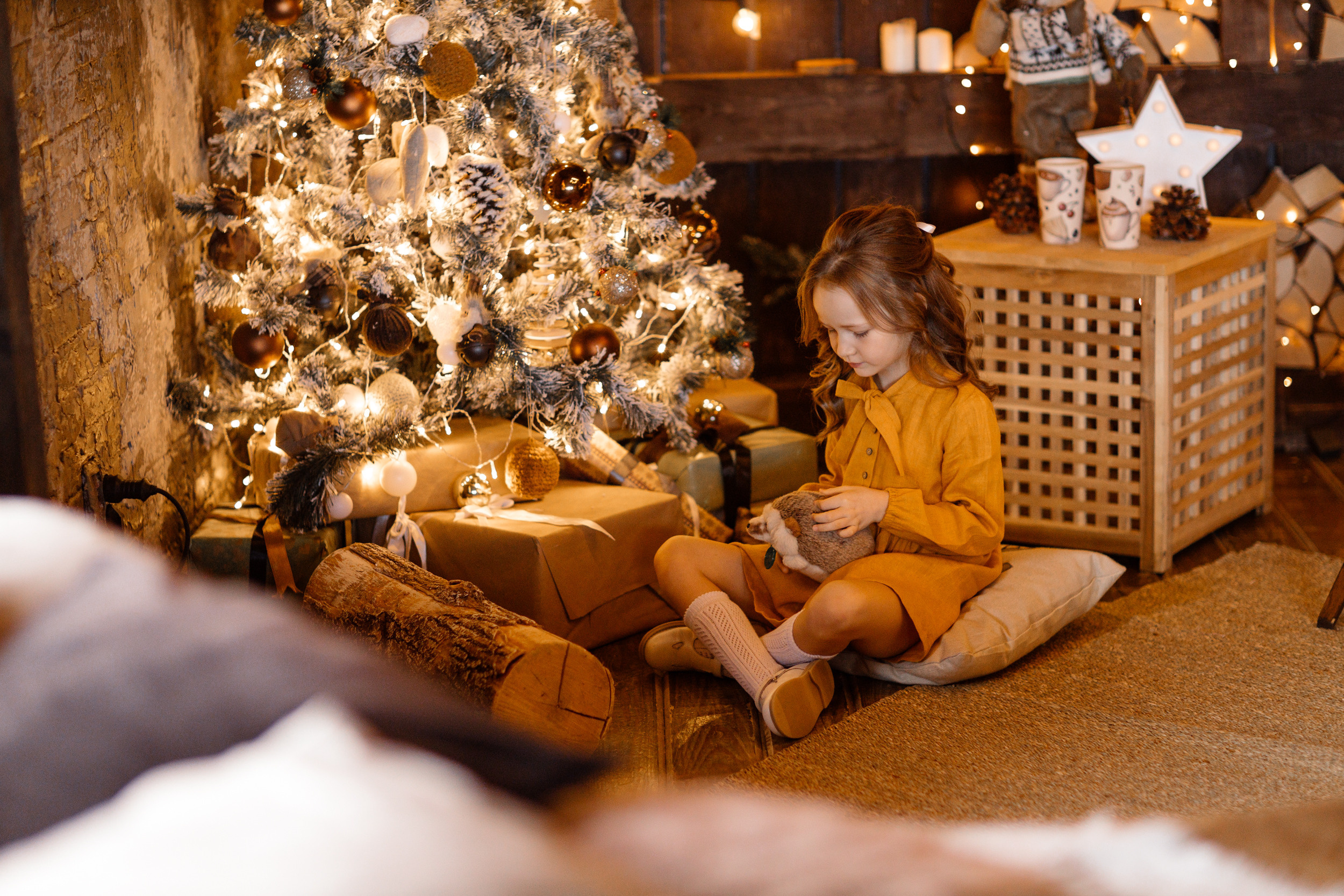 Новогодняя фотосессия в студии Веры