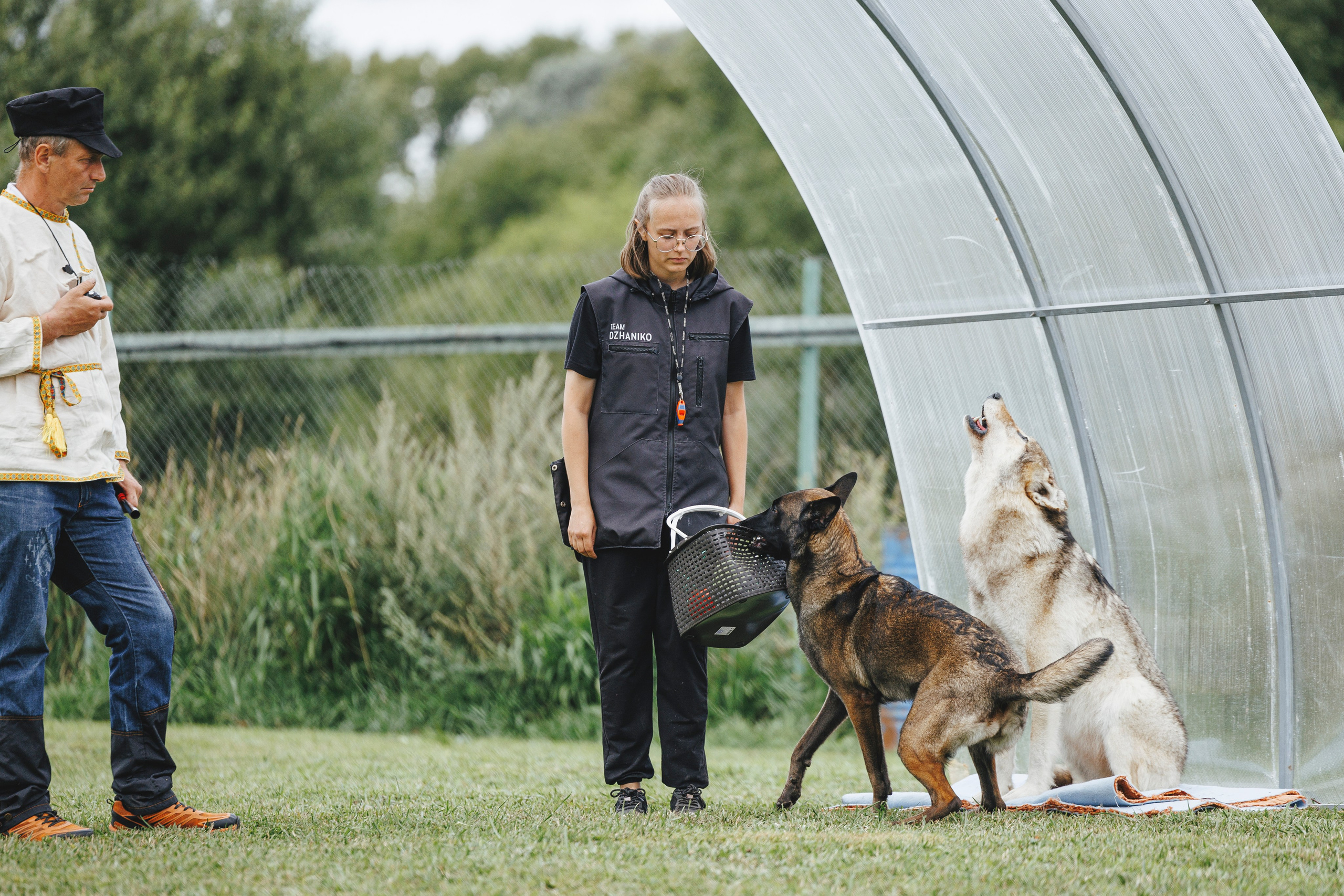 08.08.25-10.08.25 ЧР по мондьорингу г. Вологда. Фотограф-анималист Анна Маринич