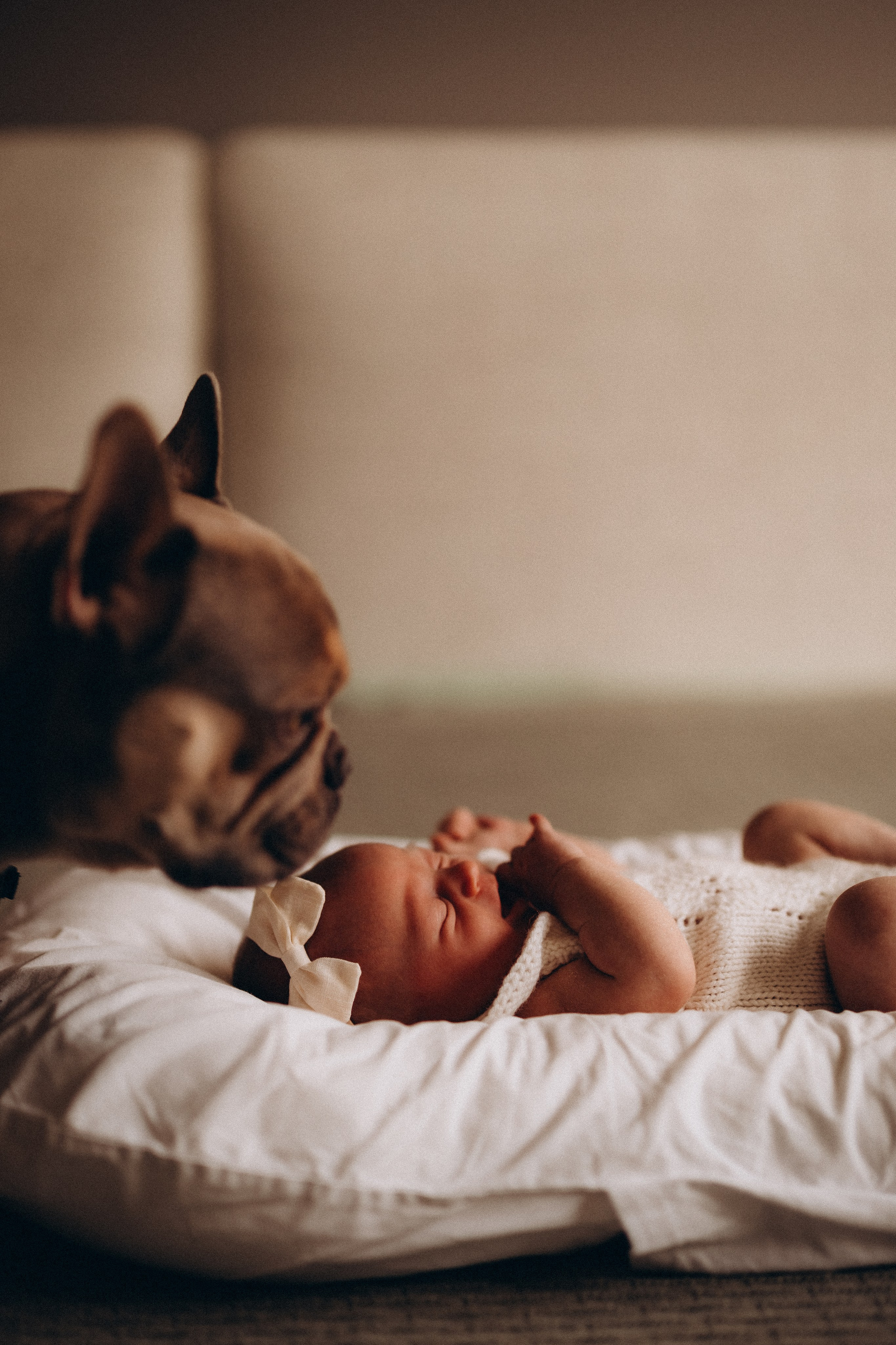 Александра 2 недели. Евгения Пелипас