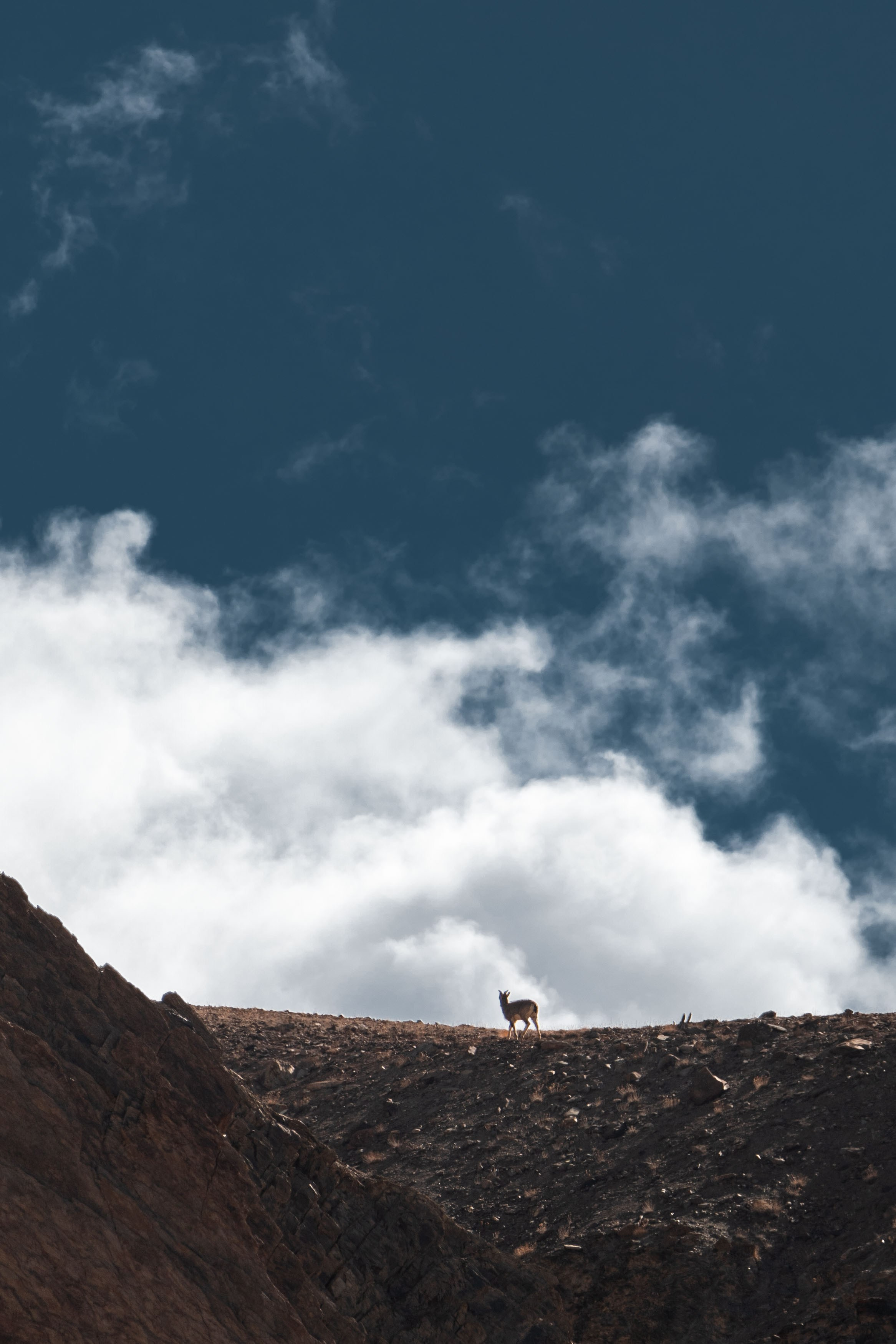 Лех Ладах 24. Vazovsky Photography