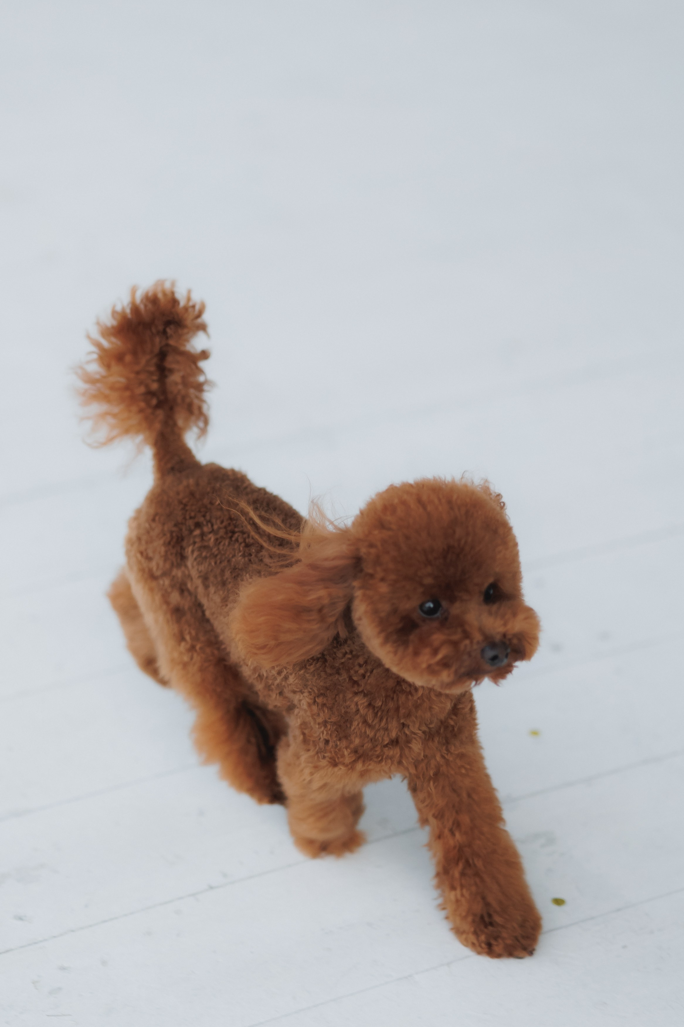 Платону 10!. Фотограф в Волгограде — Александра Искандерова