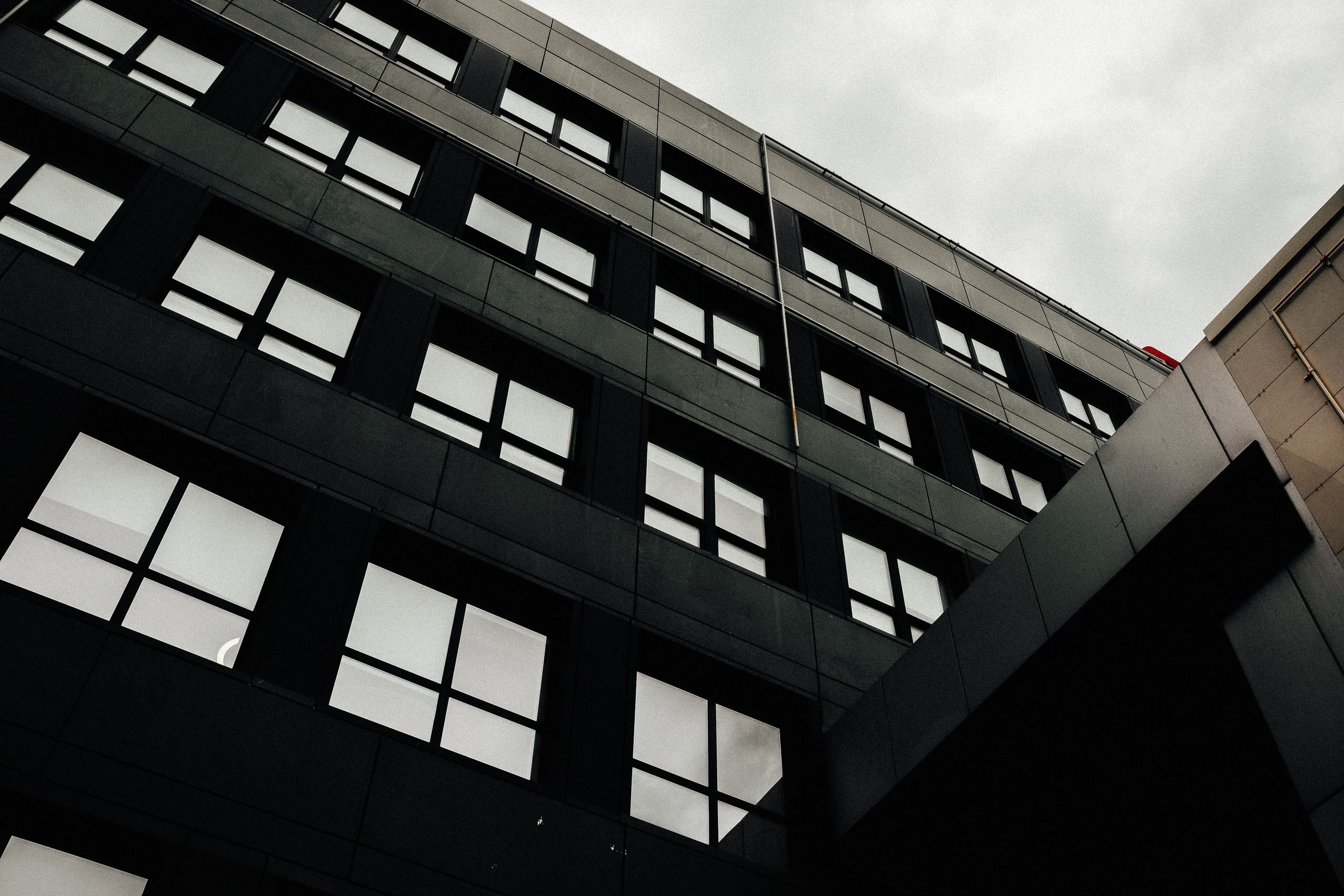 Свет. Свадебный и семейный фотограф Барнаул Рубцовск Бийск Алтайский край