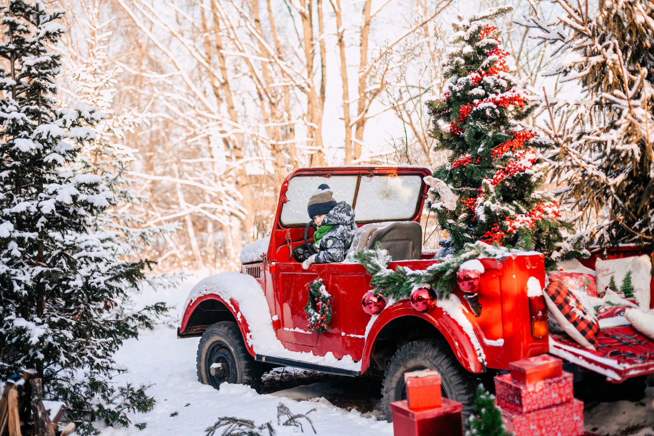 Зингер дача. Фотограф-анималист Татьяна Степанова