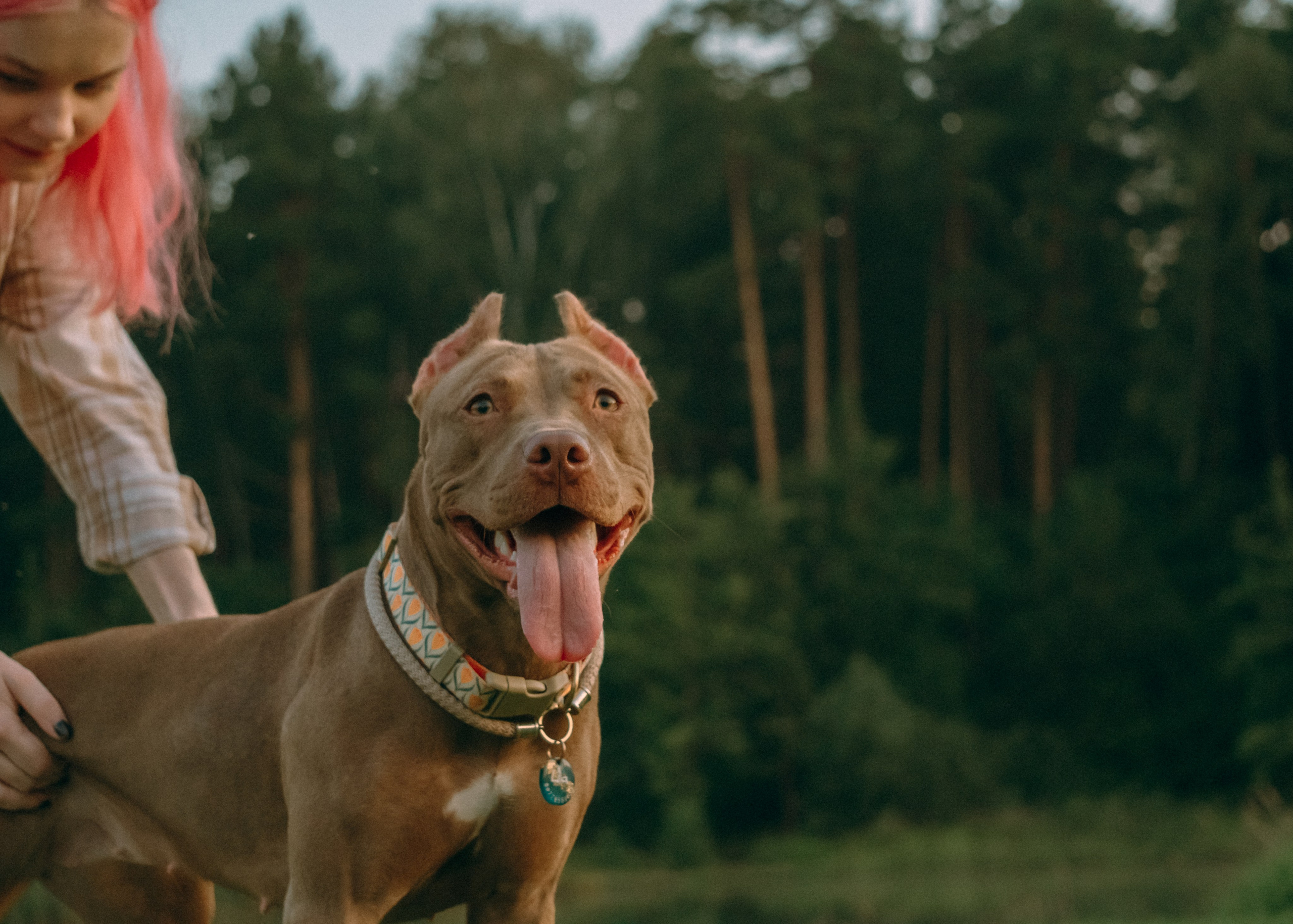 Виолетта, Лила и Питер. Фотограф-анималист Ксения Воробьева, Москва