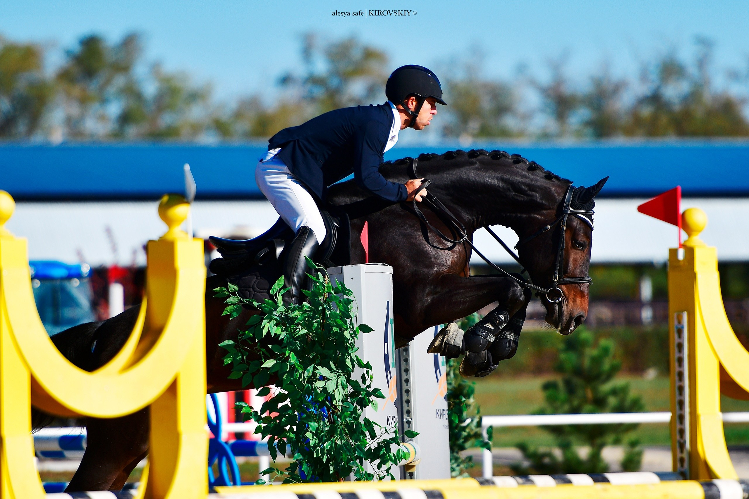 Кировский конный завод. Конный фотограф Alesya Safe