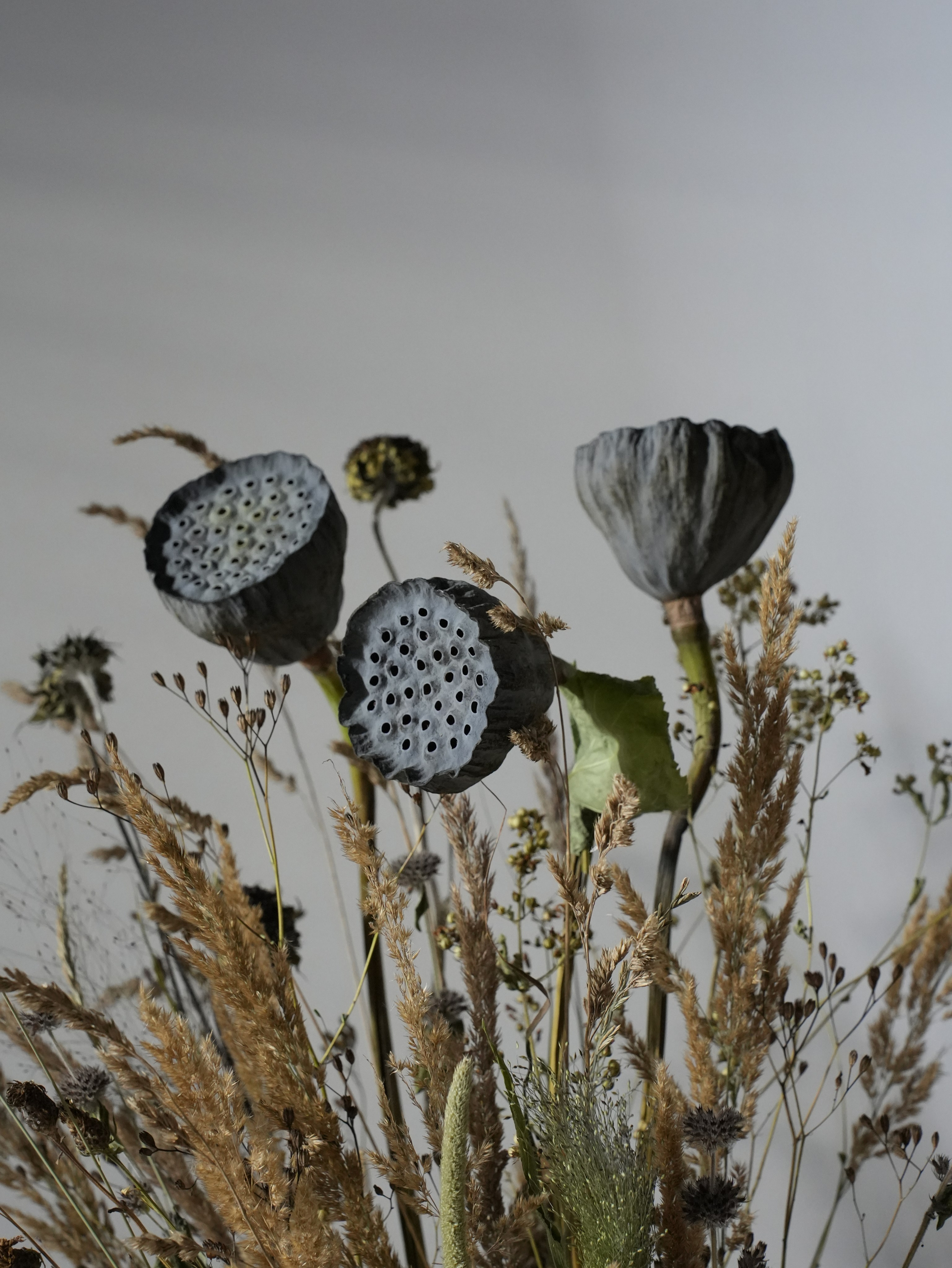 Живет художник. Arseniy Karchevskiy I Photographer